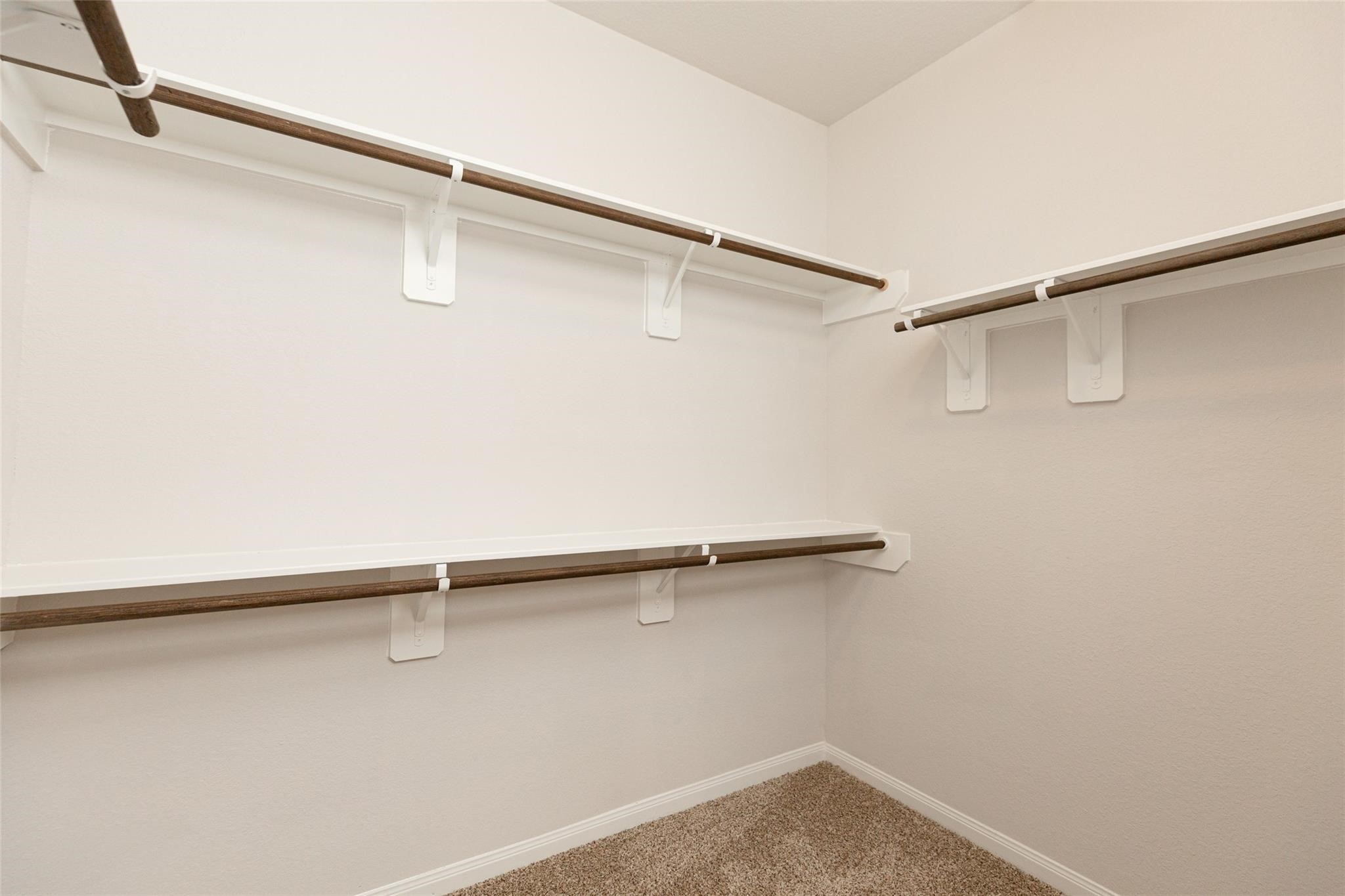 24811 Landolfi Drive Property Photo 10