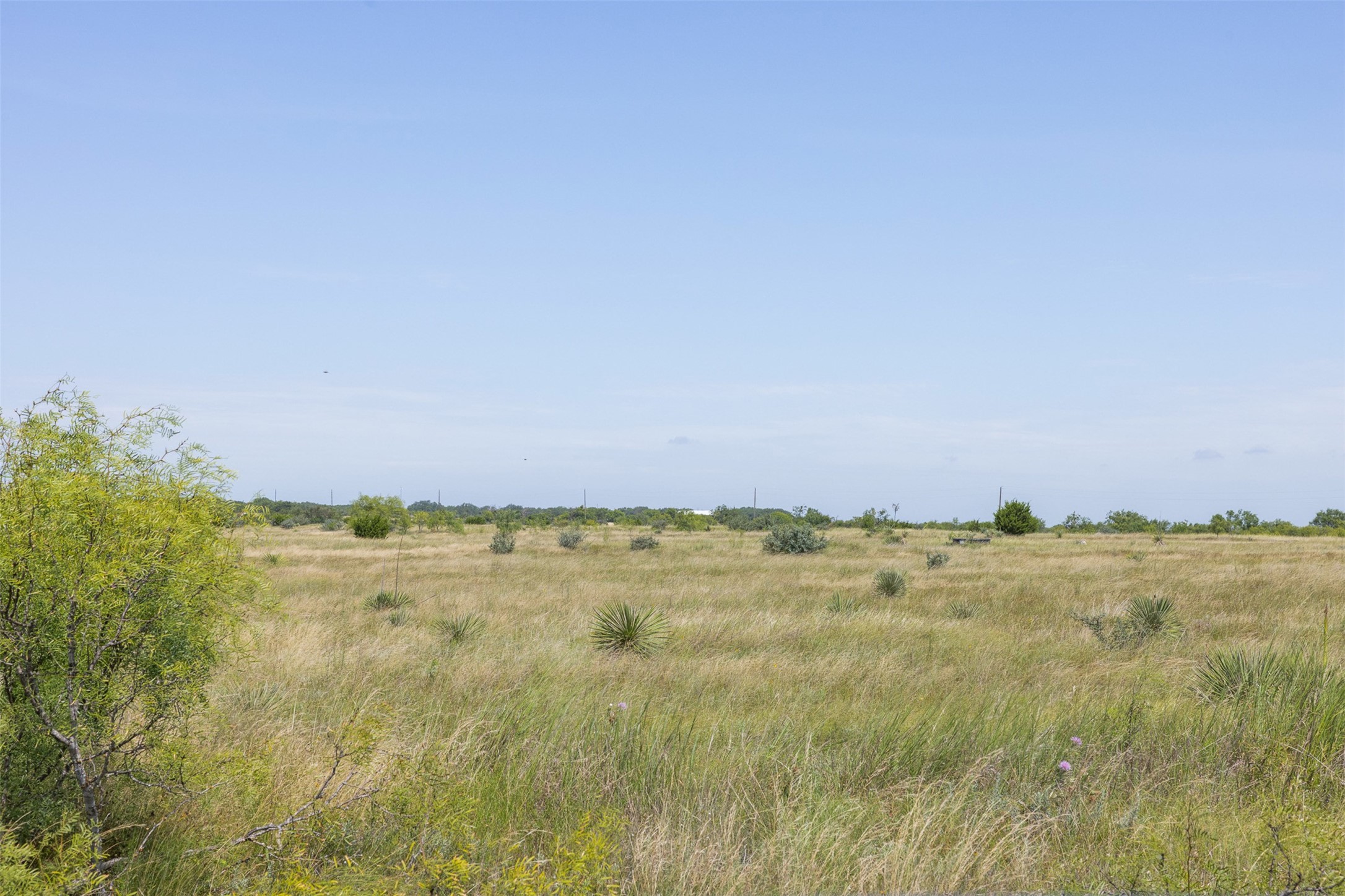 62.5 Ac Fm 1121 Property Photo 4