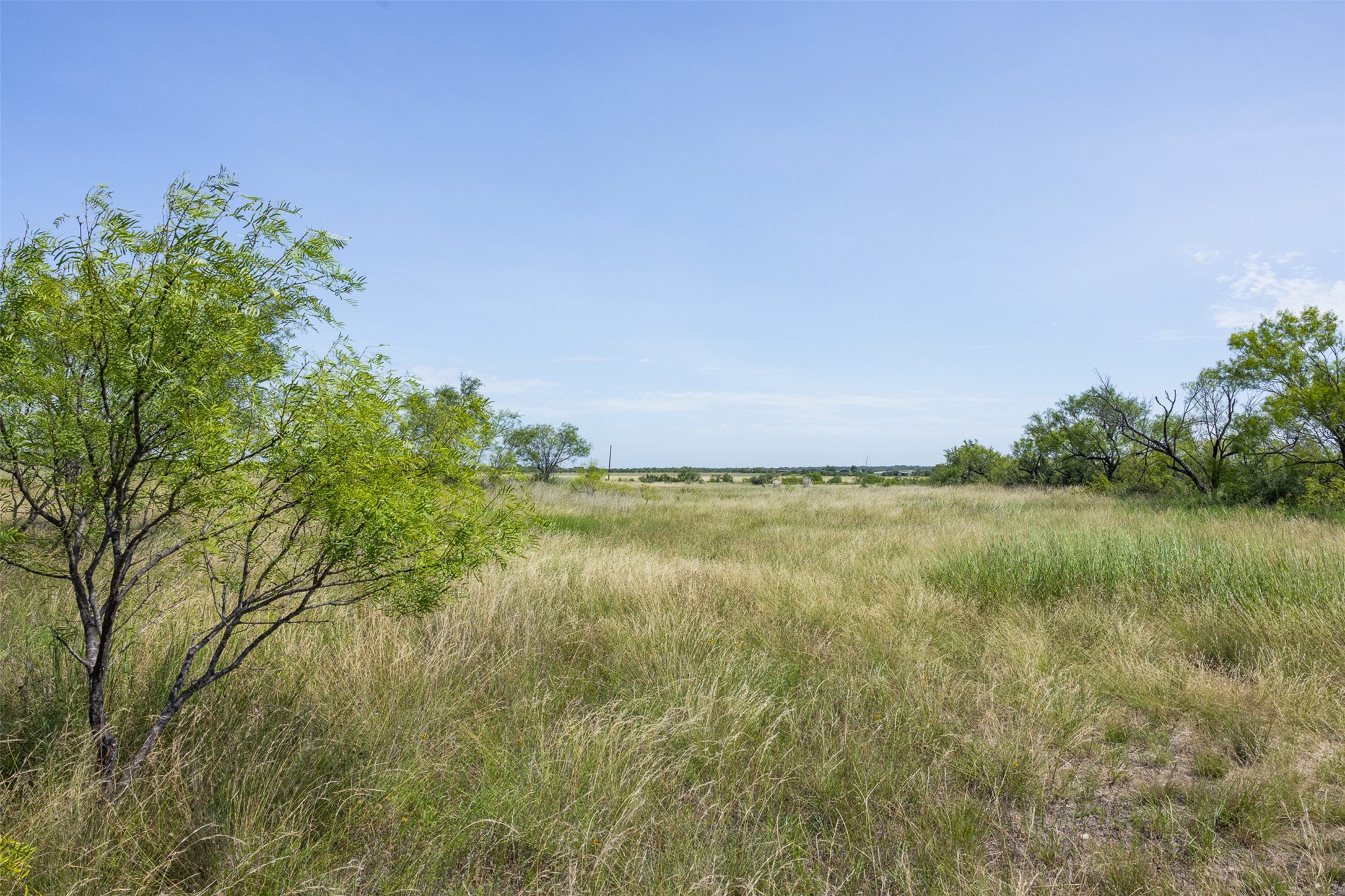 62.5 Ac Fm 1121 Property Photo 5