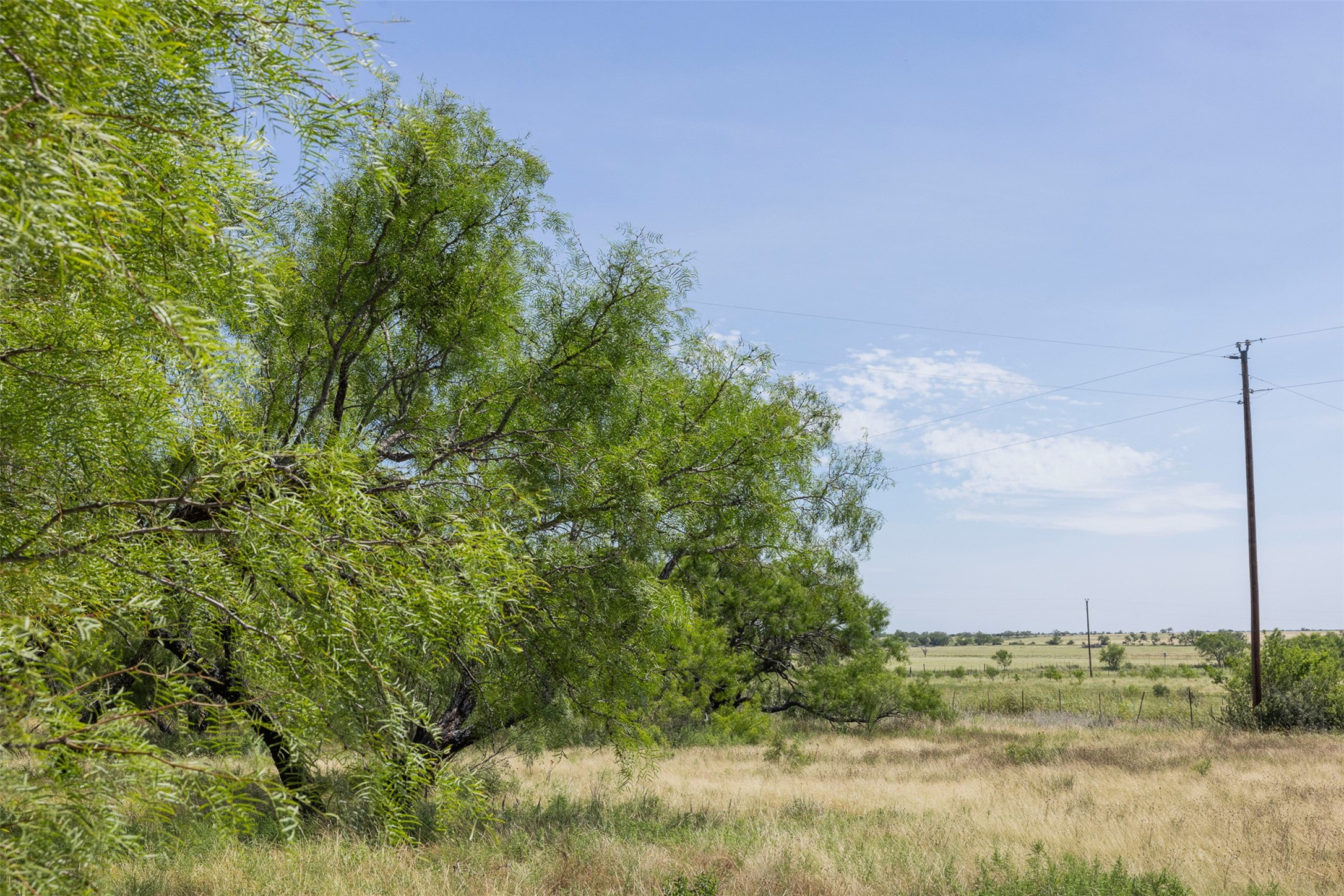 62.5 Ac Fm 1121 Property Photo 6