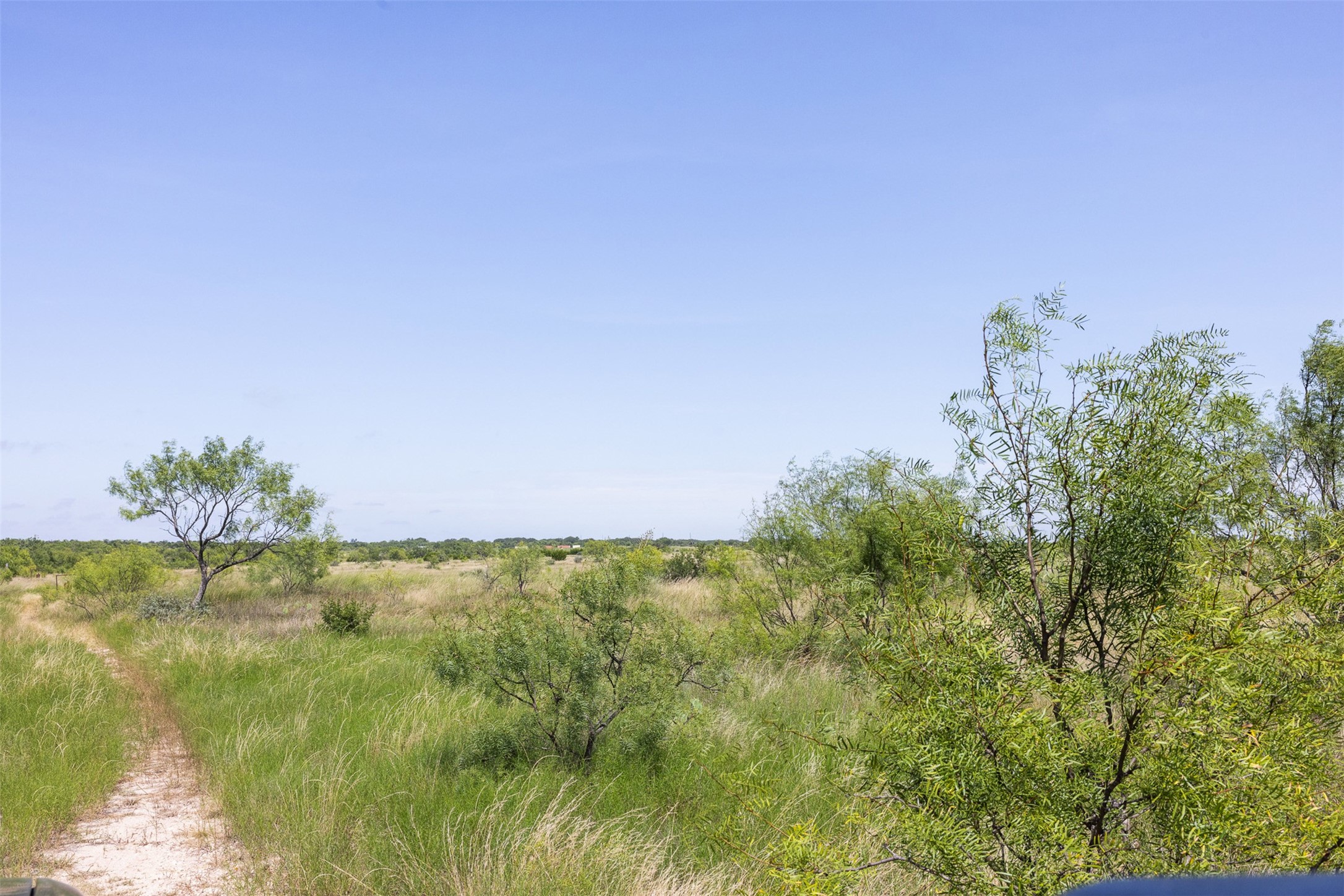 62.5 Ac Fm 1121 Property Photo 8