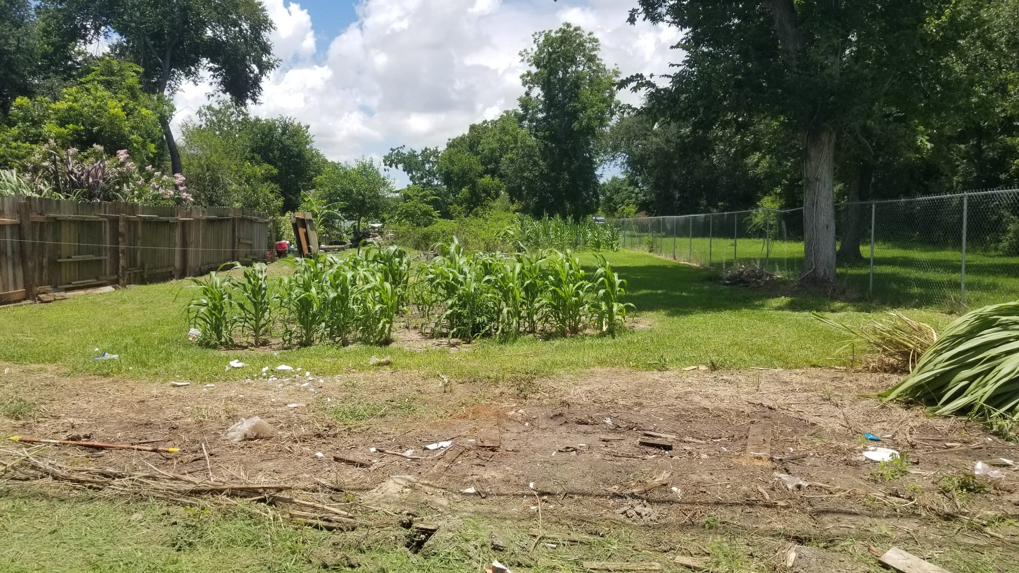 0 N Martin Luther King Property Photo 5