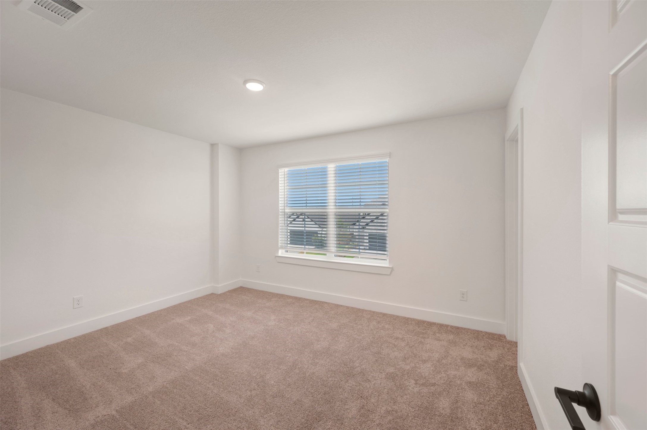 8238 Blue Shell Lane Property Photo 38