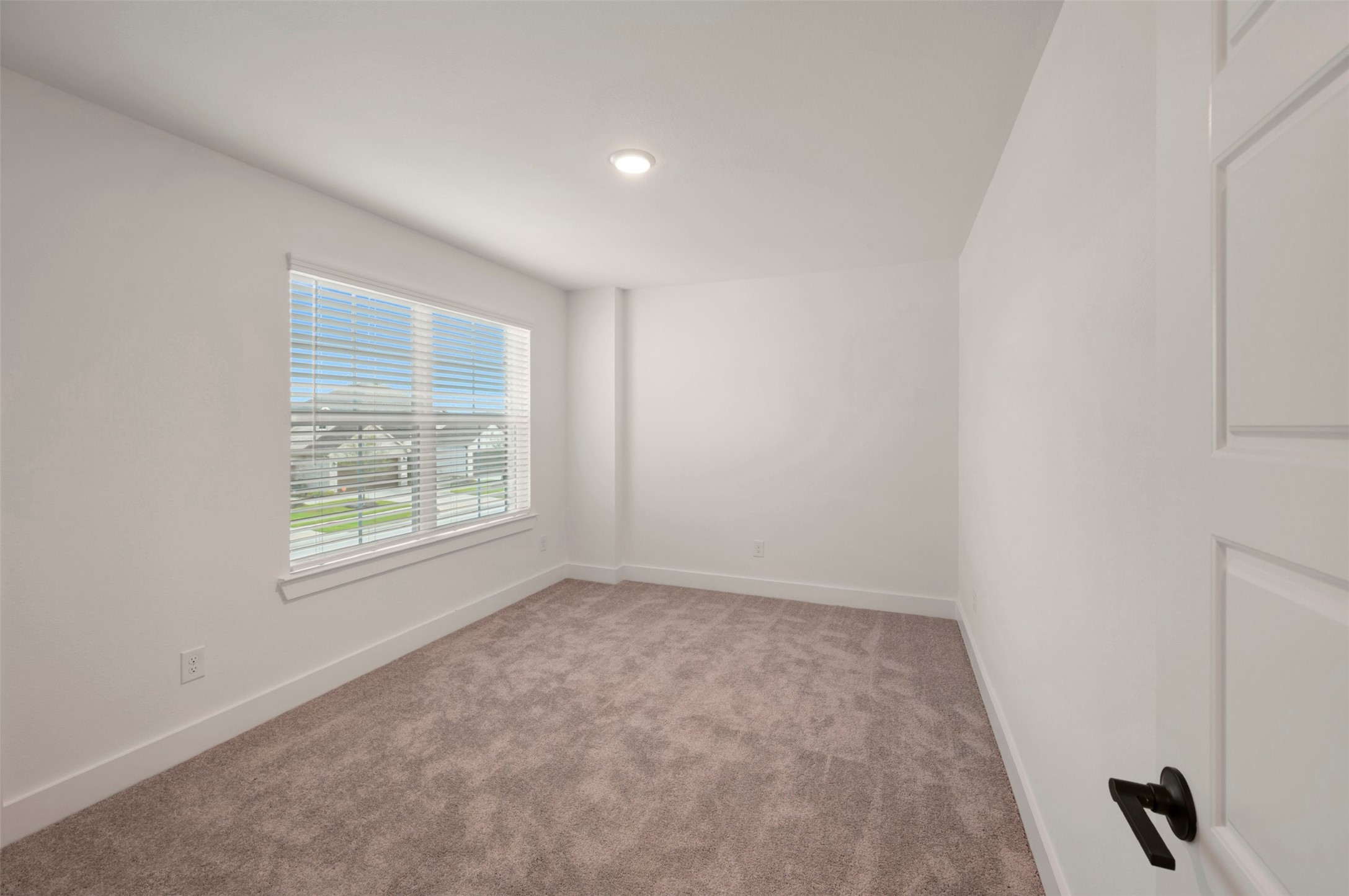 8238 Blue Shell Lane Property Photo 40