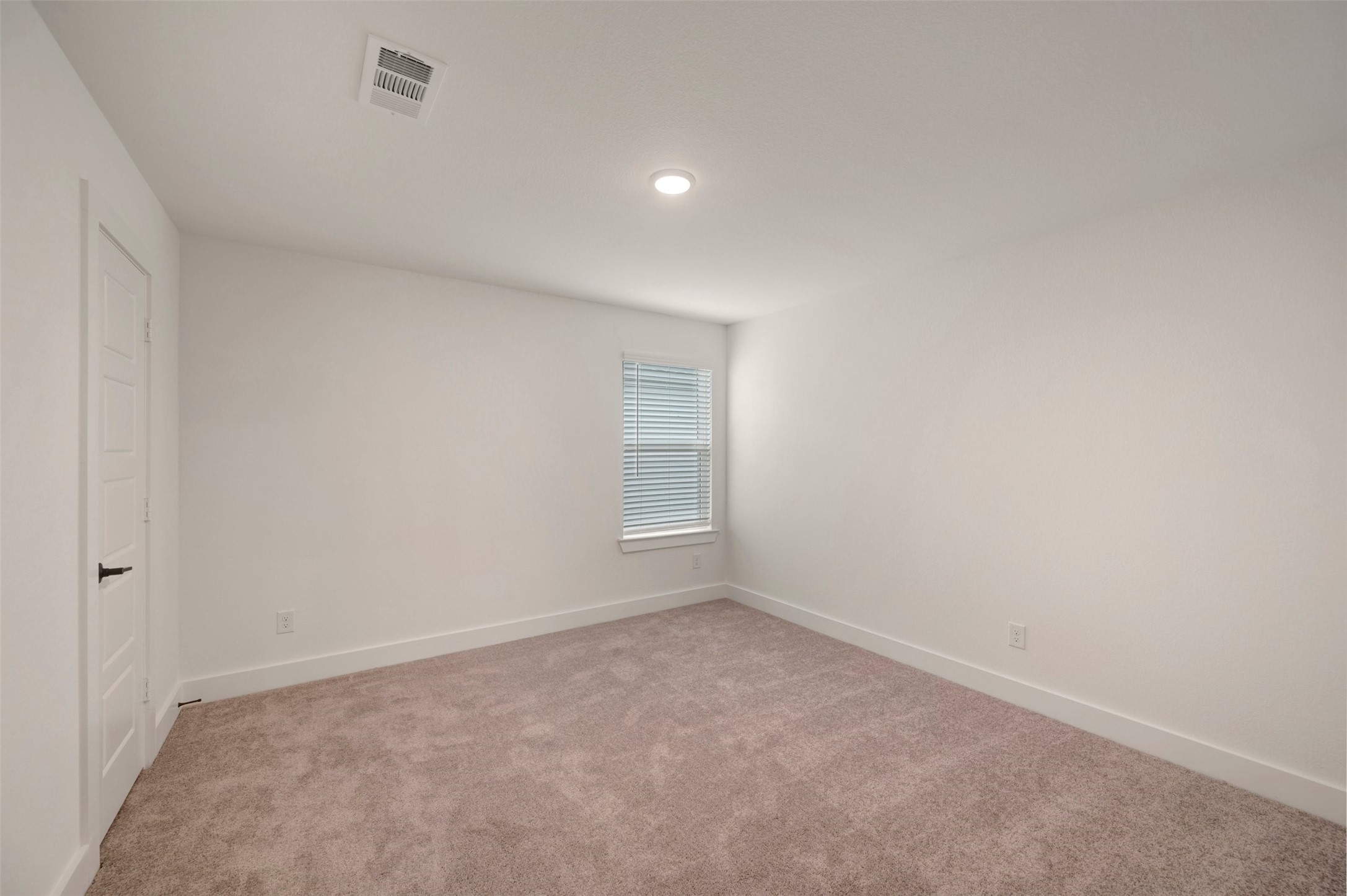8238 Blue Shell Lane Property Photo 45