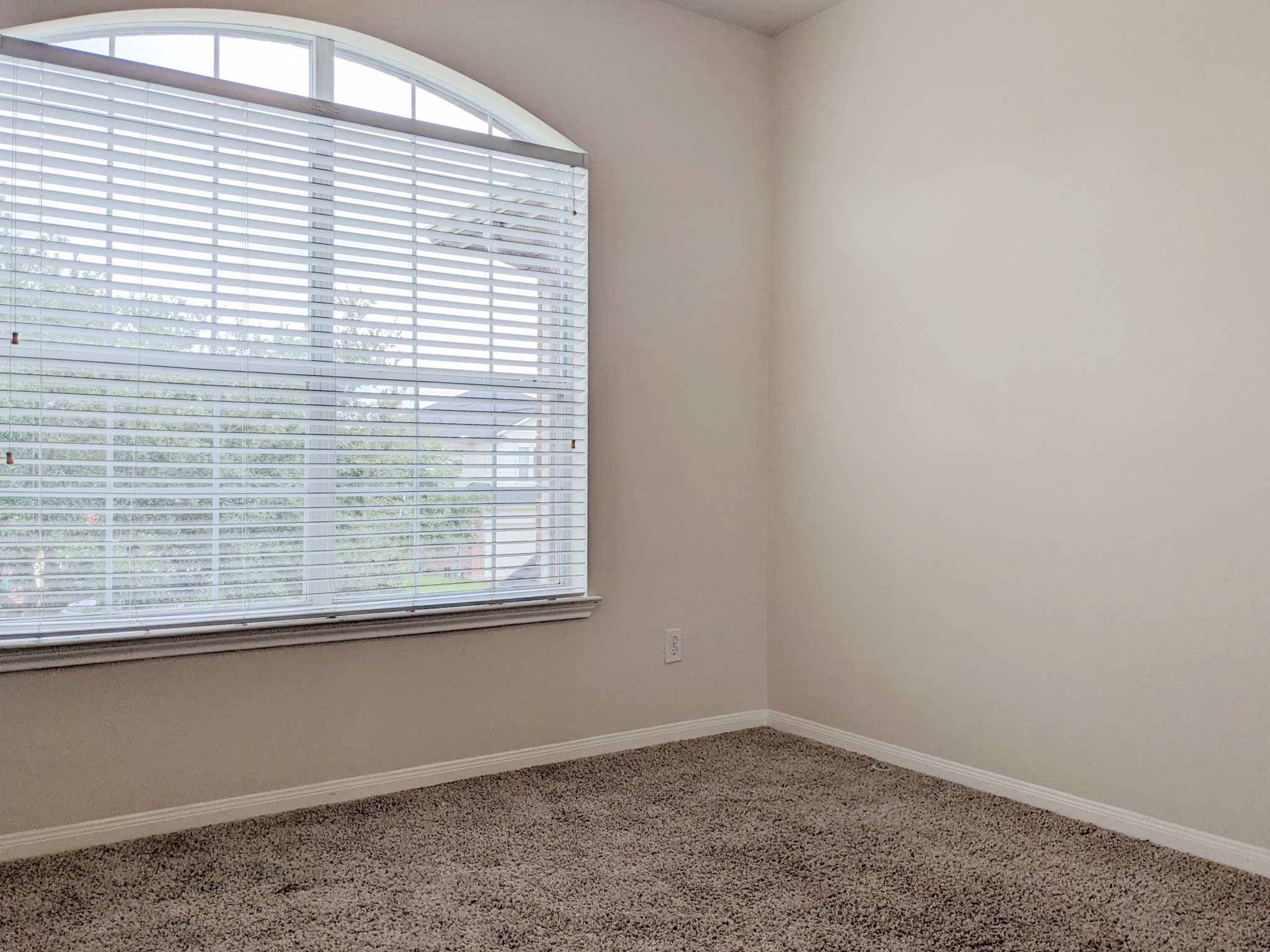 11 Carmel Chase Court Property Photo 24