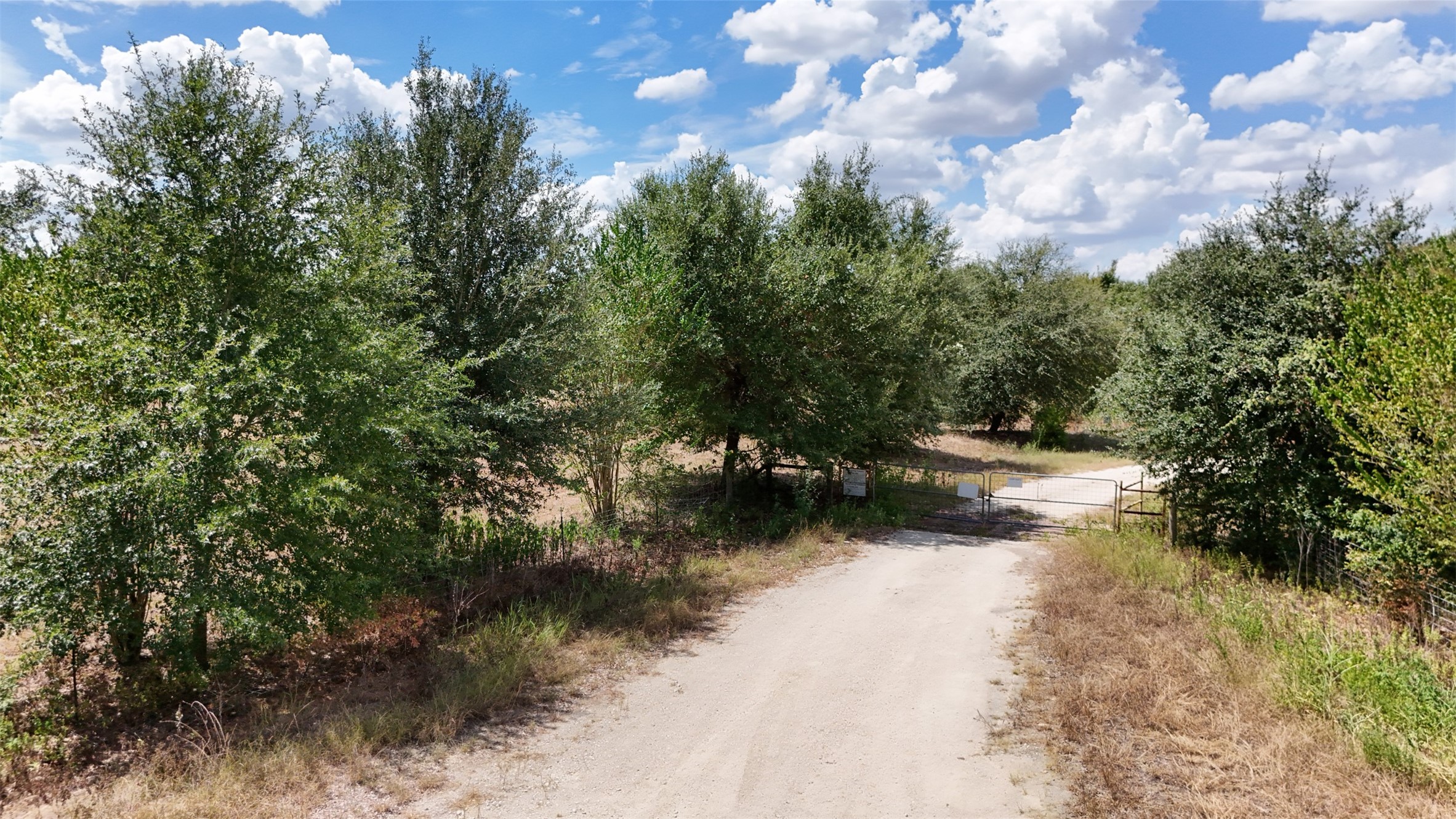 23.69 Acres Little Mississippi Cemetery Road Property Photo 4