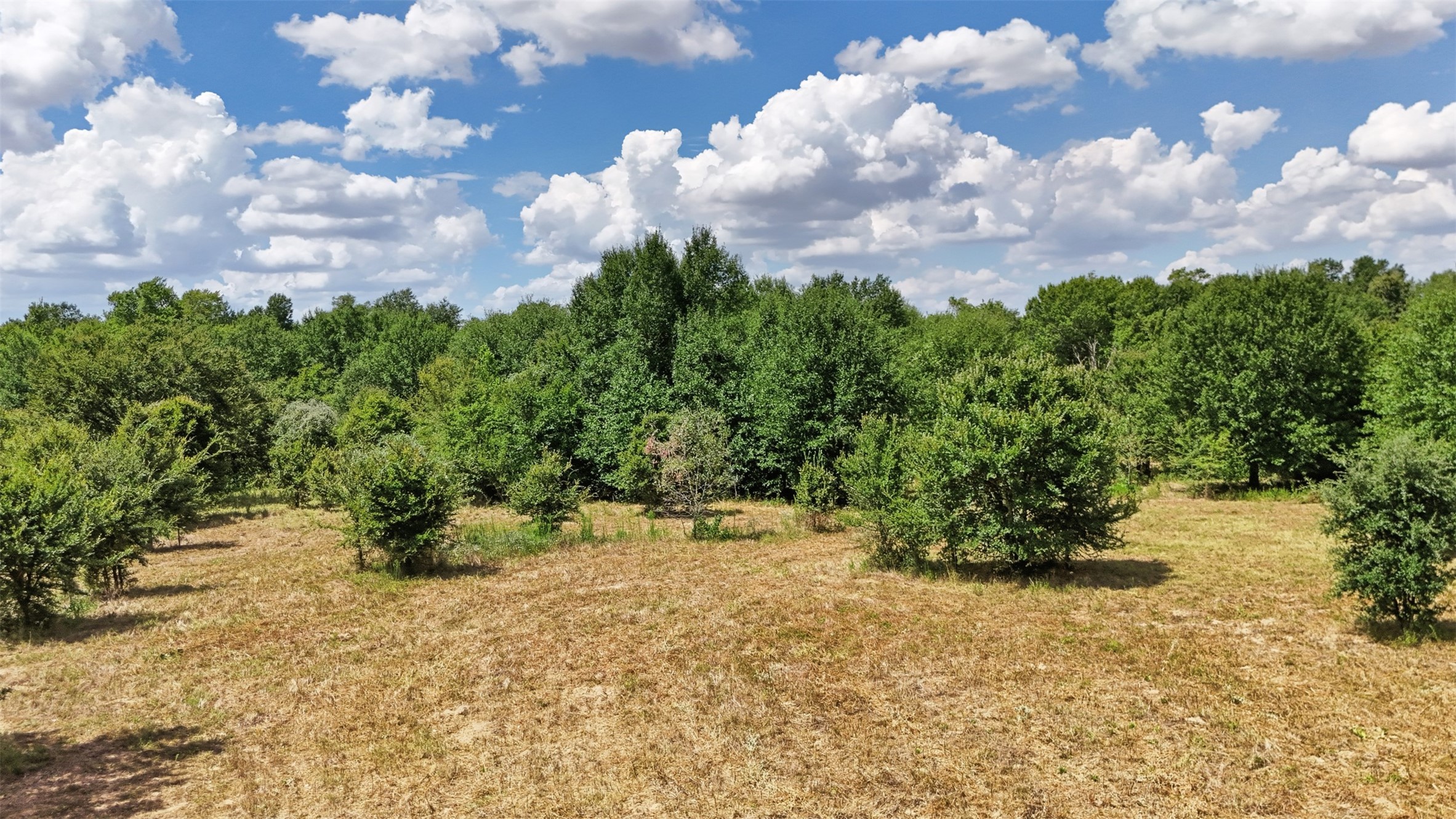 23.69 Acres Little Mississippi Cemetery Road Property Photo 5