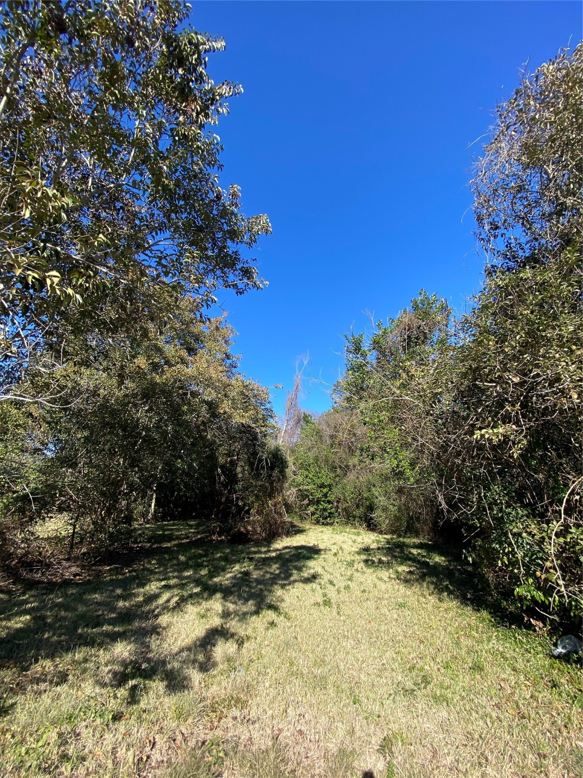 1415 Sherman Street Property Photo 2