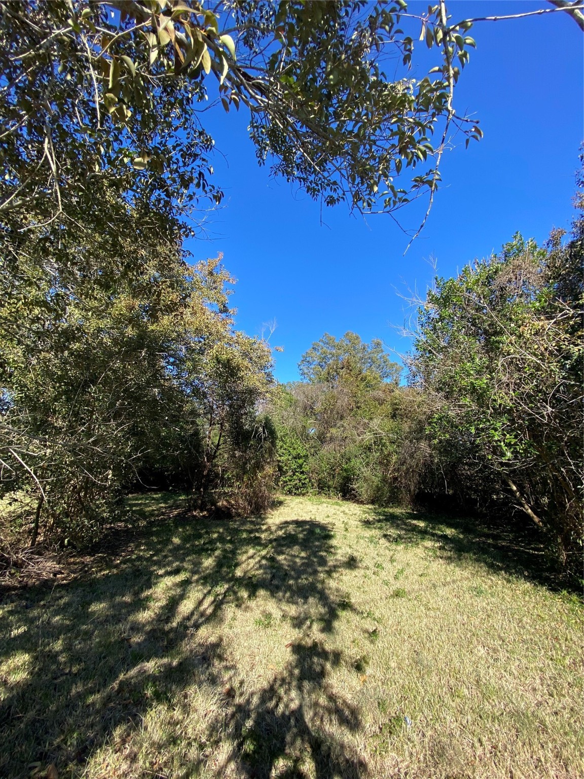 1415 Sherman Street Property Photo 3