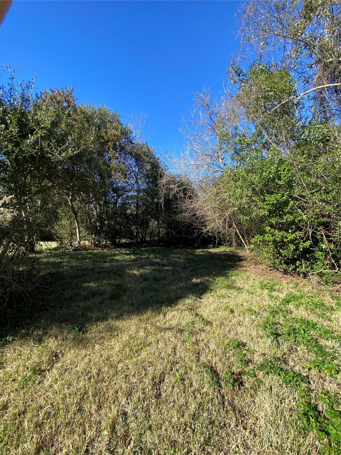 1415 Sherman Street Property Photo 9