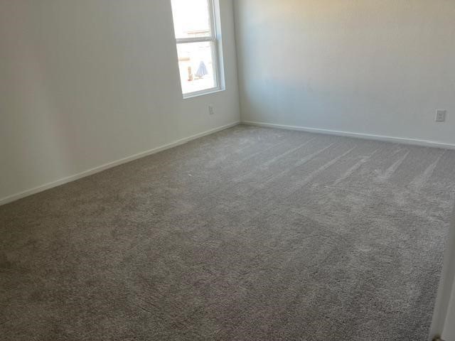 1015 Gentle Nook Drive Property Photo 10