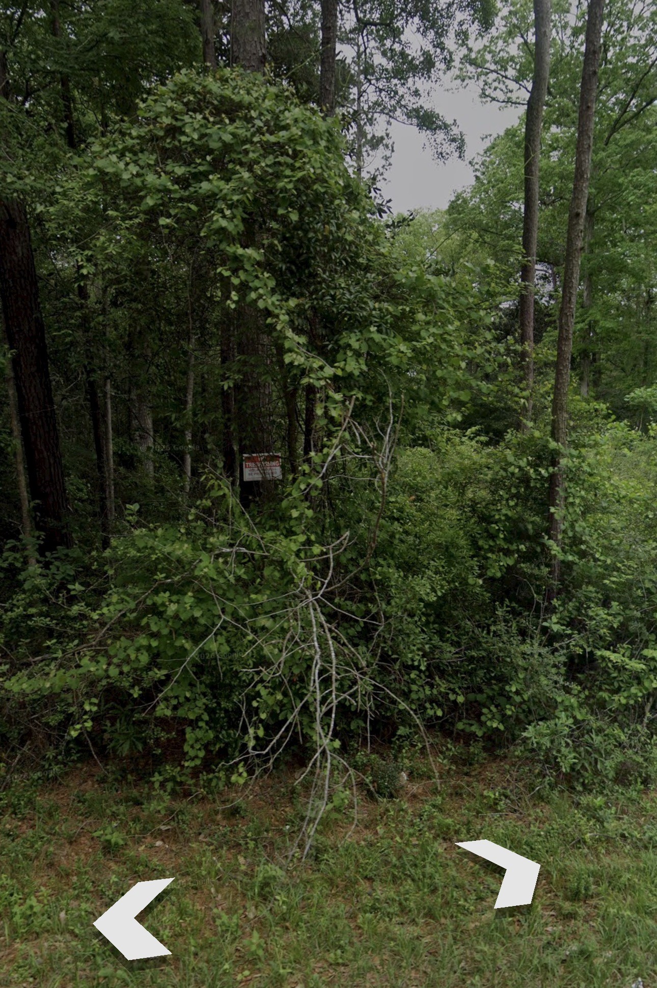 0 Bitter Creek Drive Property Photo 1