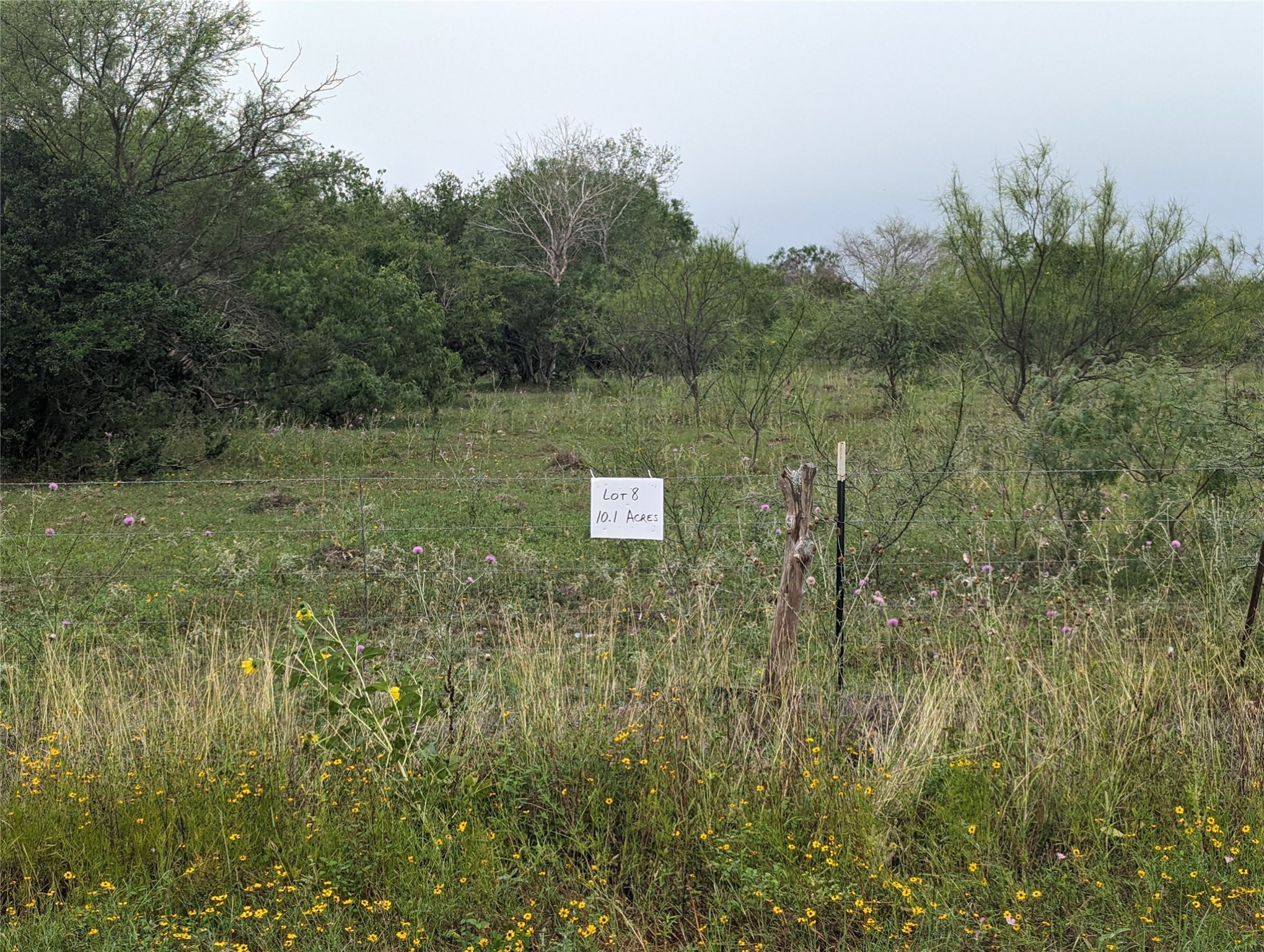 Lot 9 Cr 430 Property Photo 1