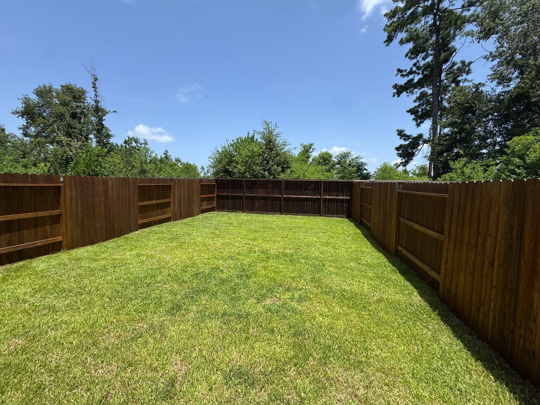 945 Pertuso Lane Property Photo 14