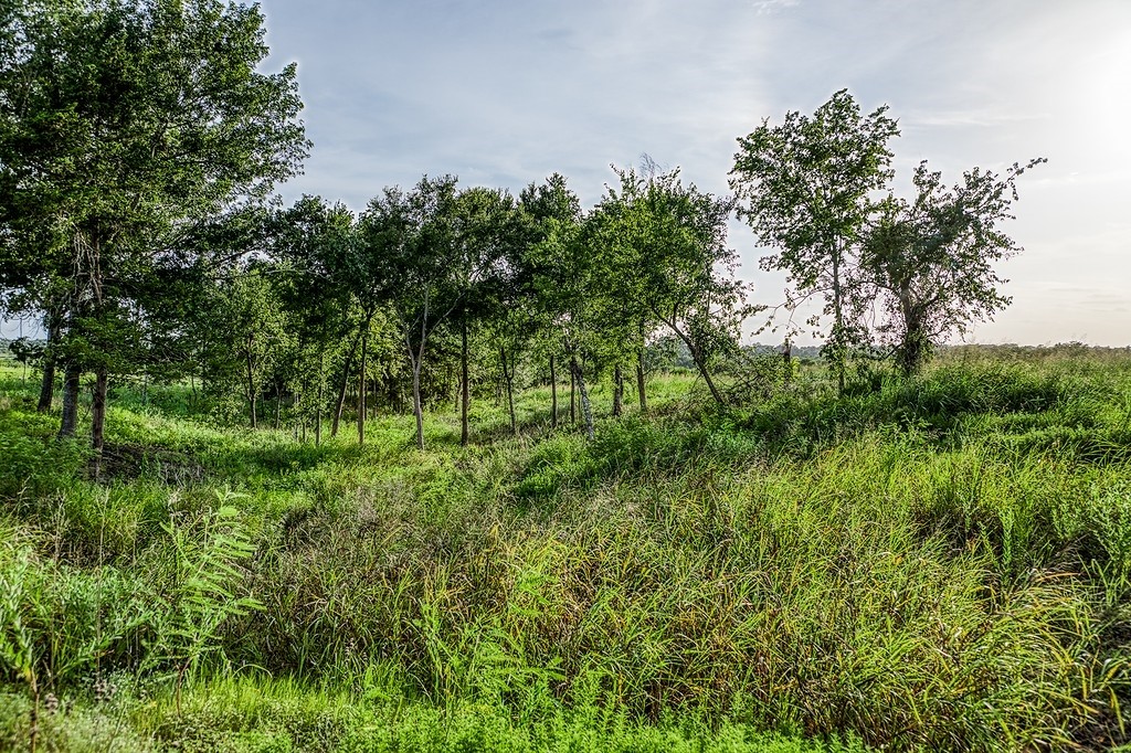 Lot 9 Hargrove Lane Property Photo 5