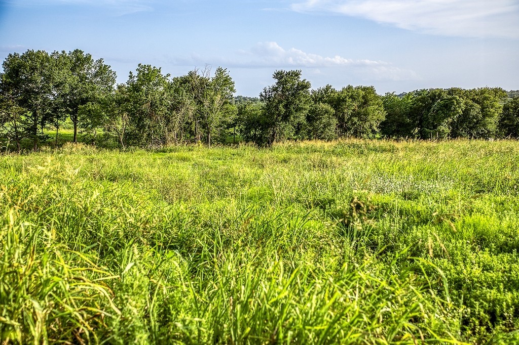 Lot 9 Hargrove Lane Property Photo 6