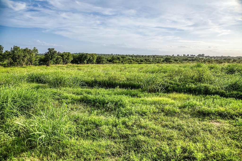 Lot 9 Hargrove Lane Property Photo 7