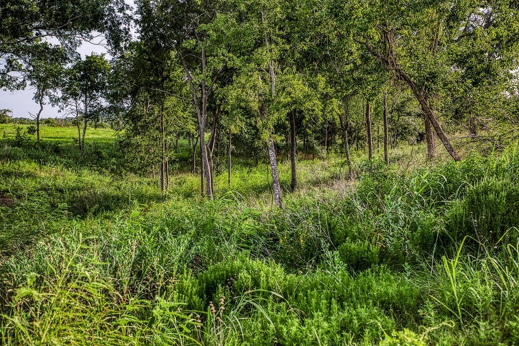 Lot 9 Hargrove Lane Property Photo 8