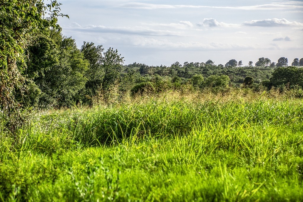 Lot 9 Hargrove Lane Property Photo 9