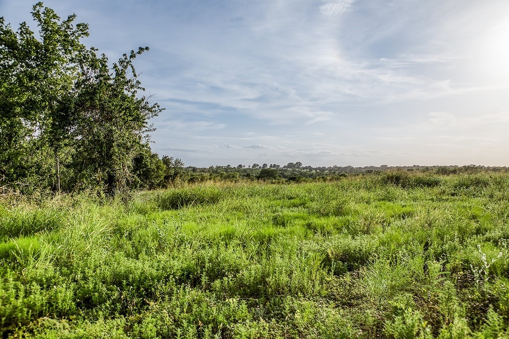 Lot 9 Hargrove Lane Property Photo 10