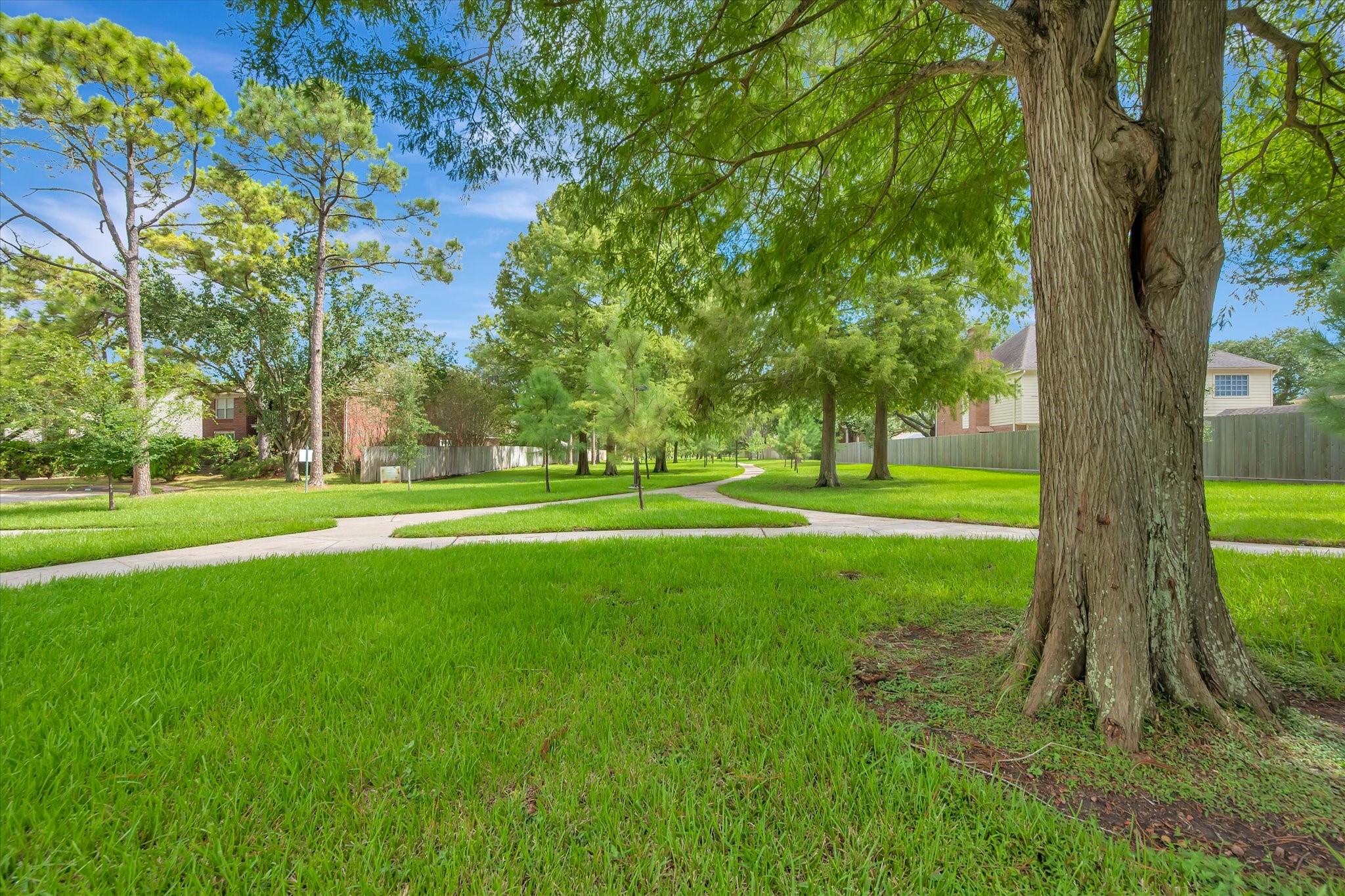 16531 Town Lake Court Property Photo 34