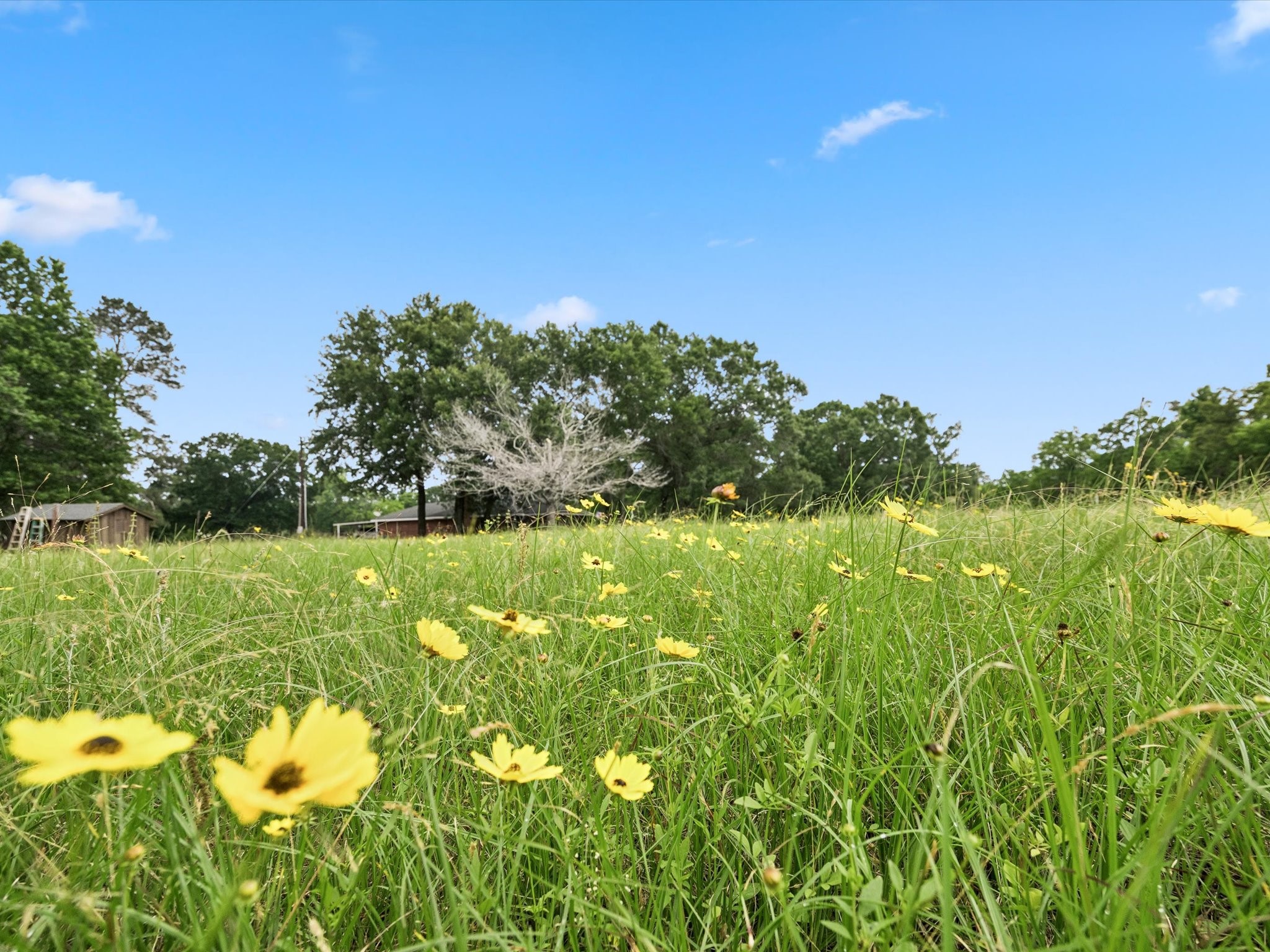 26523 Dobbin Huffsmith Road Property Photo 6
