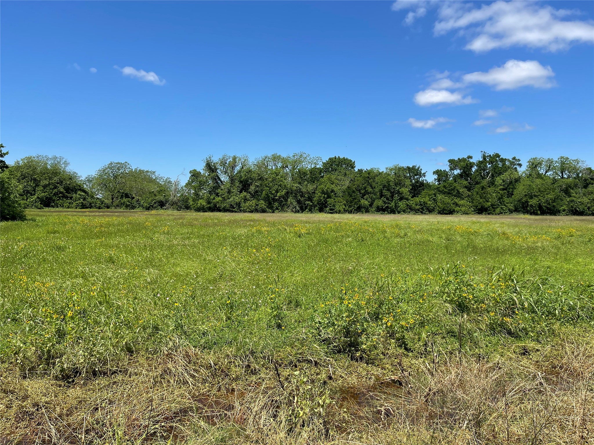 Tbd County Road 245 Property Photo 1