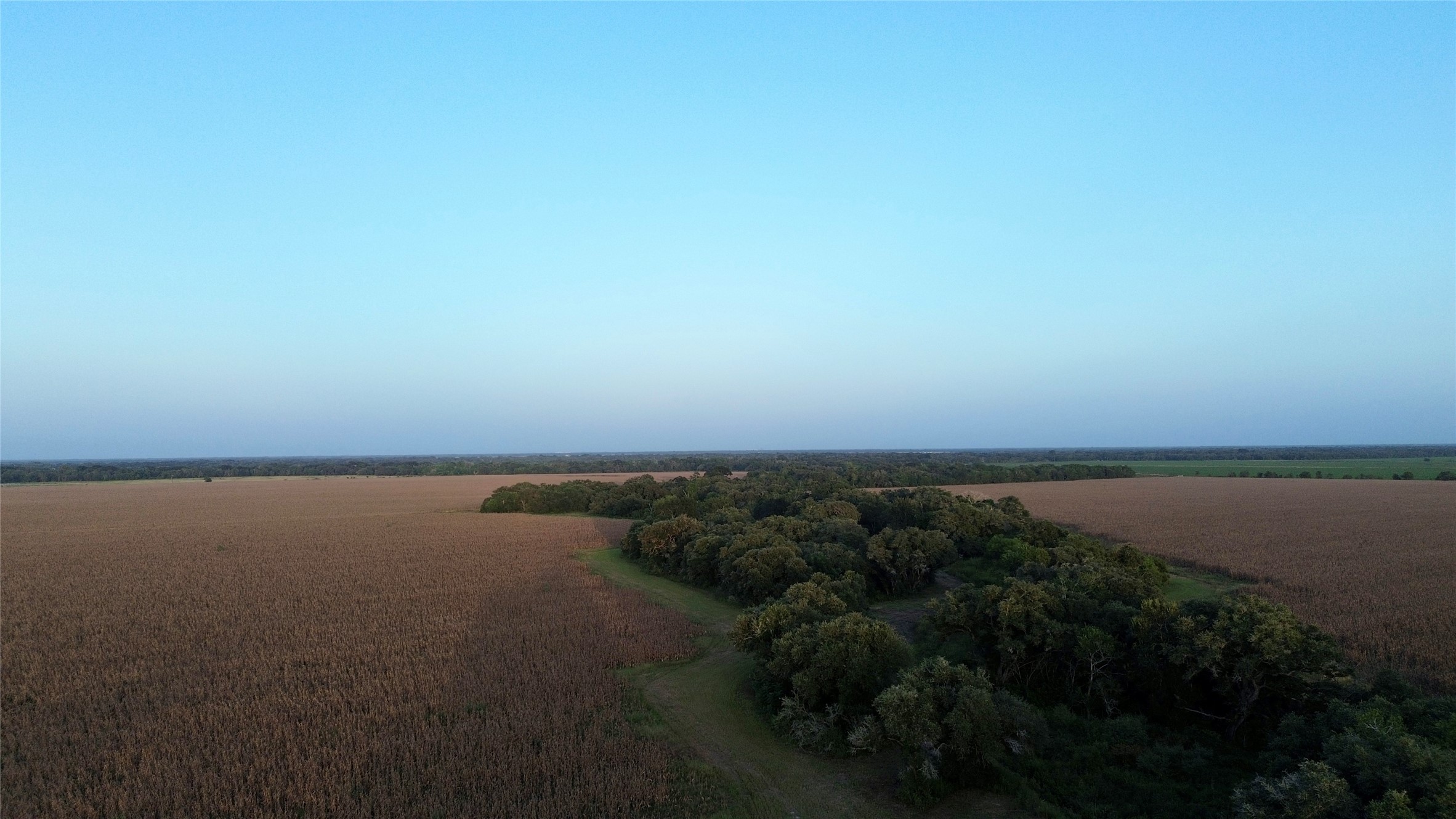 9647 Fm 1300 Property Photo 6