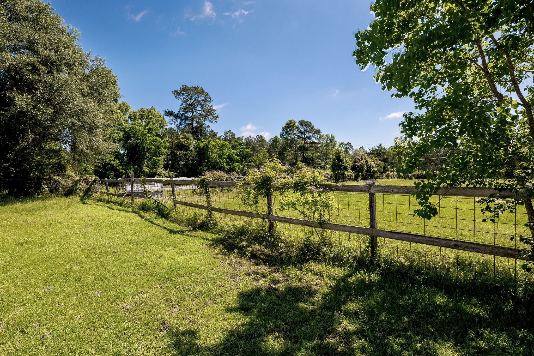12826 Hill Dr Property Photo 45