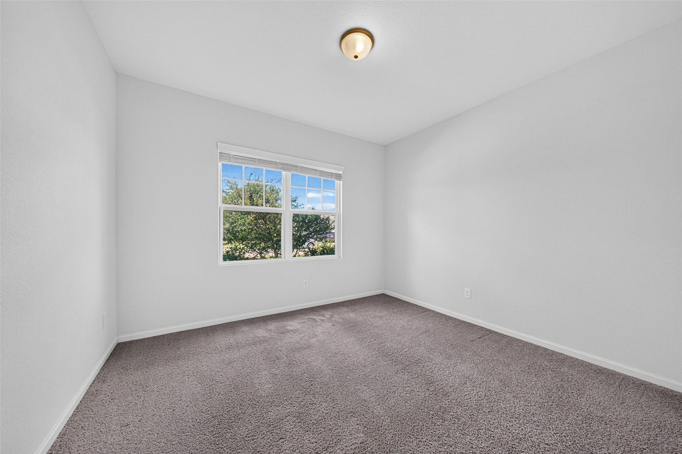 980 Blue Beech Lane Property Photo 19