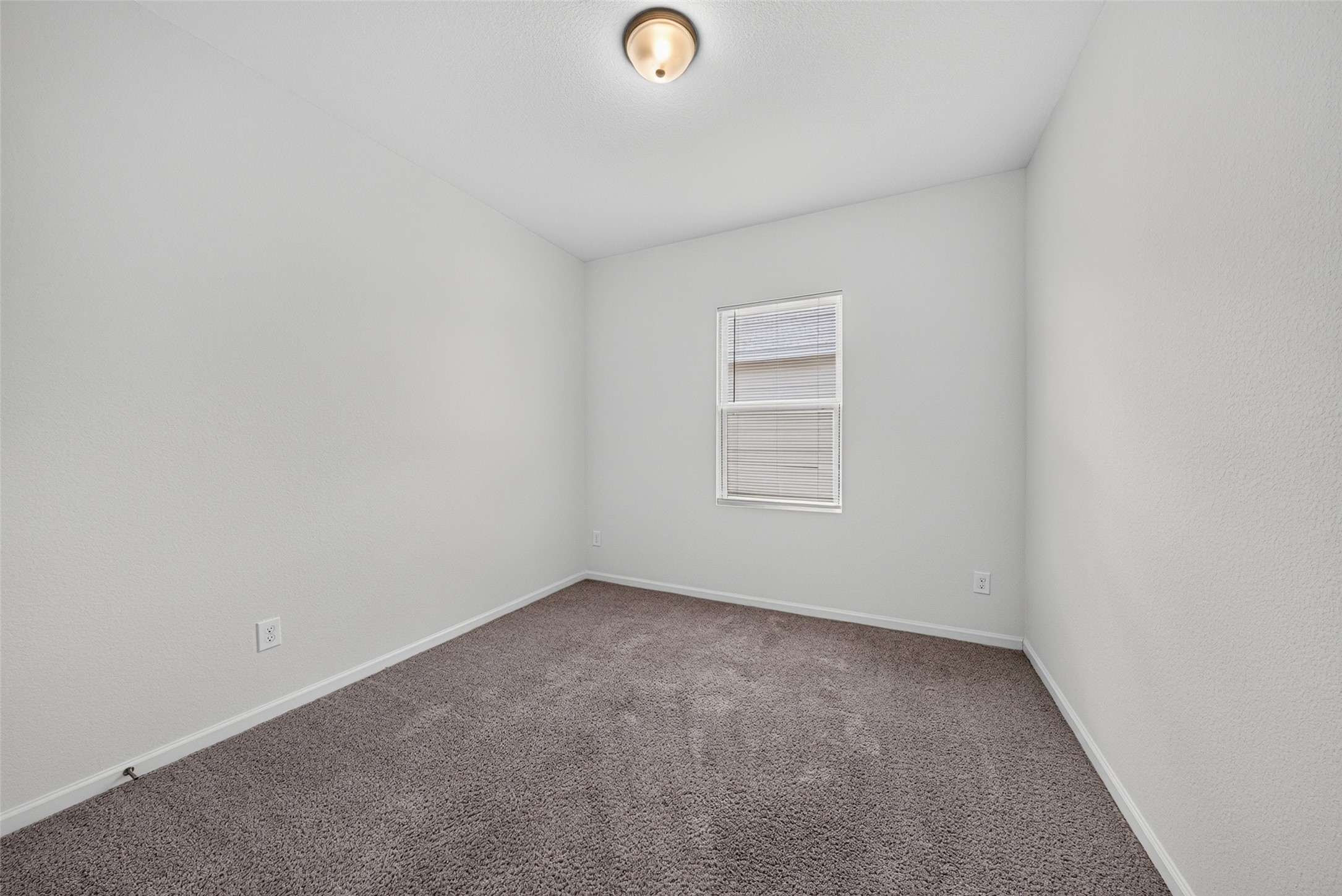 980 Blue Beech Lane Property Photo 21