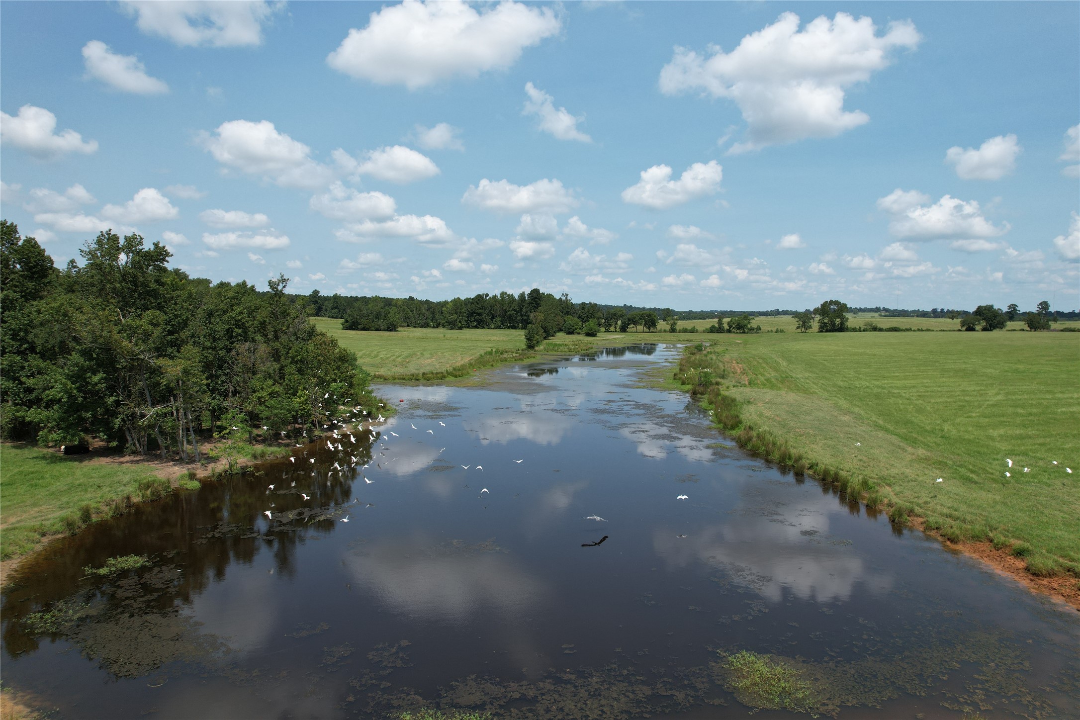 1224 Fm 2712 Property Photo 1