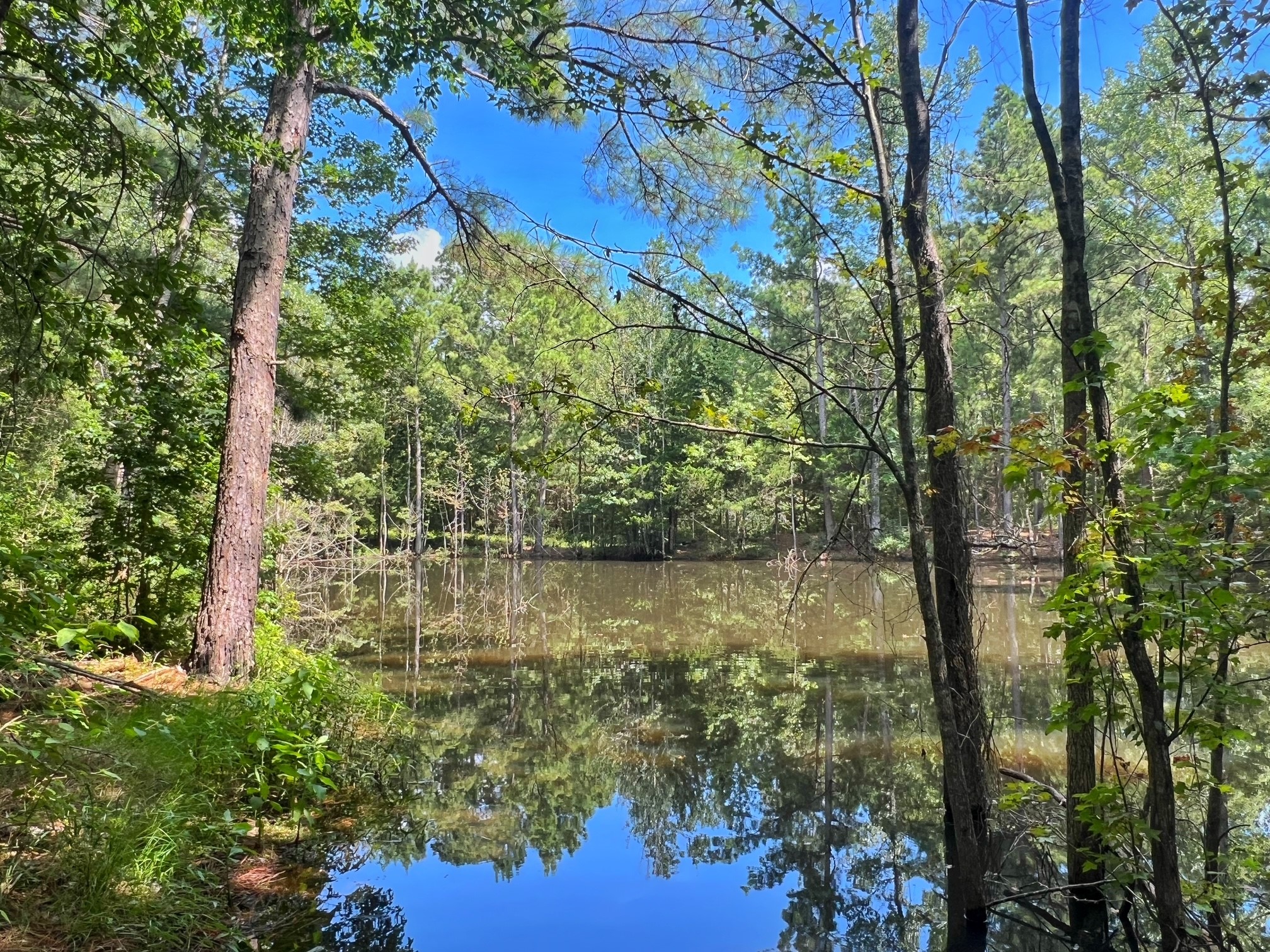 1320 Cr 2112 Property Photo 4