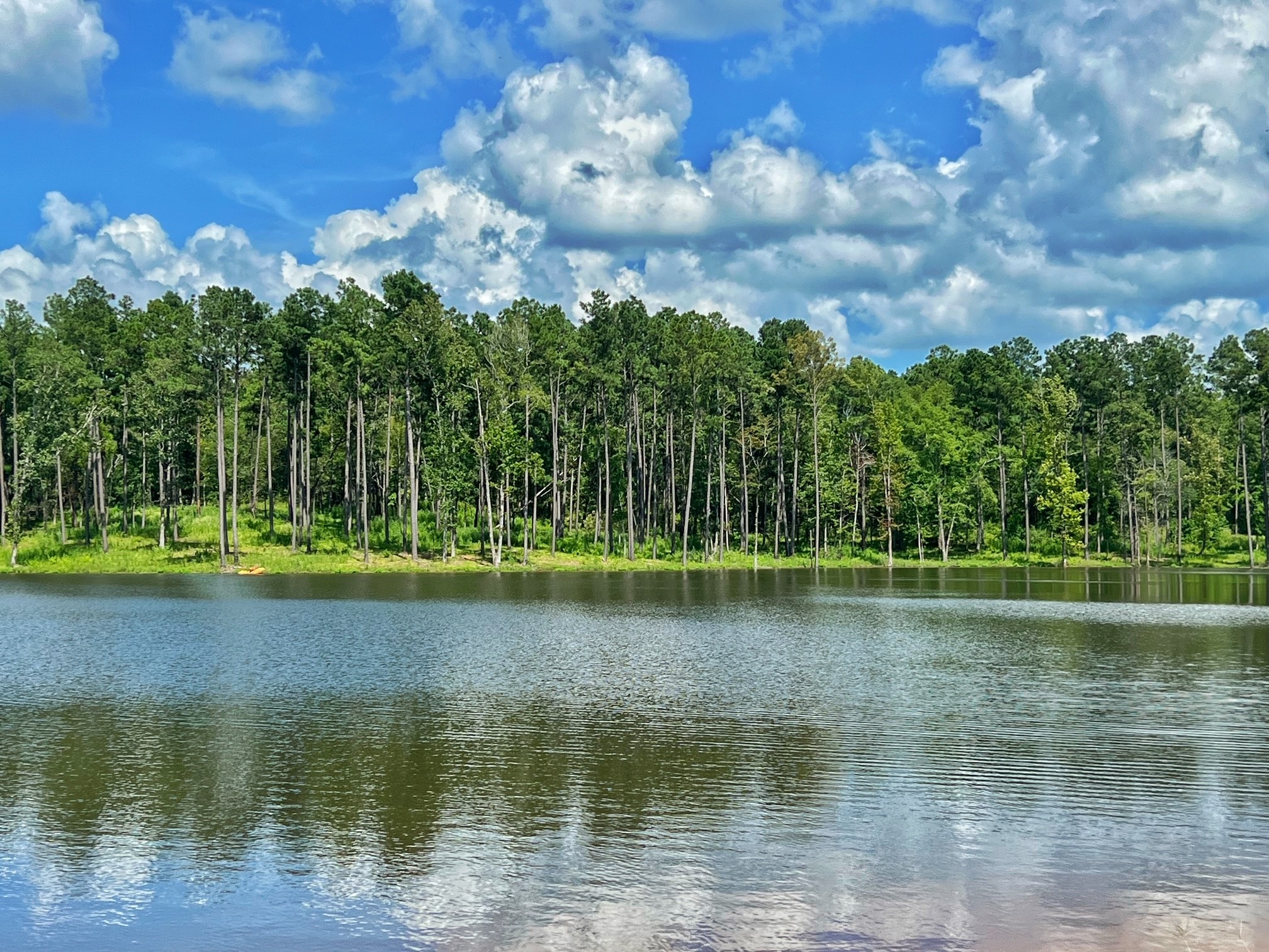 1320 Cr 2112 Property Photo 5