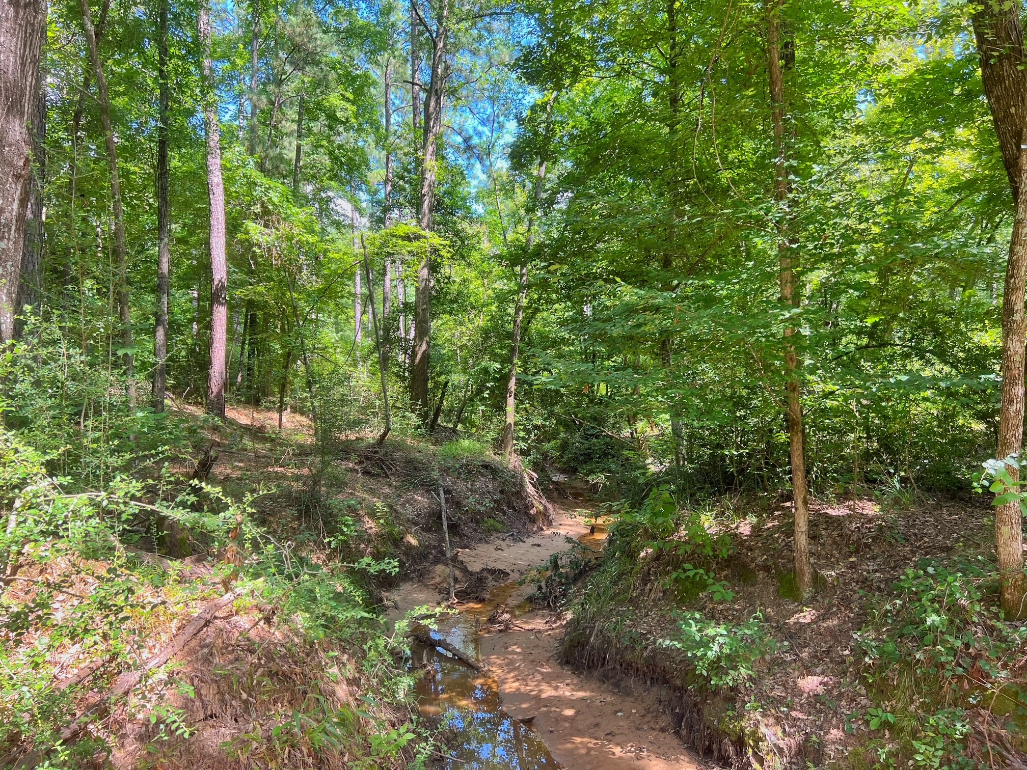 1320 Cr 2112 Property Photo 7