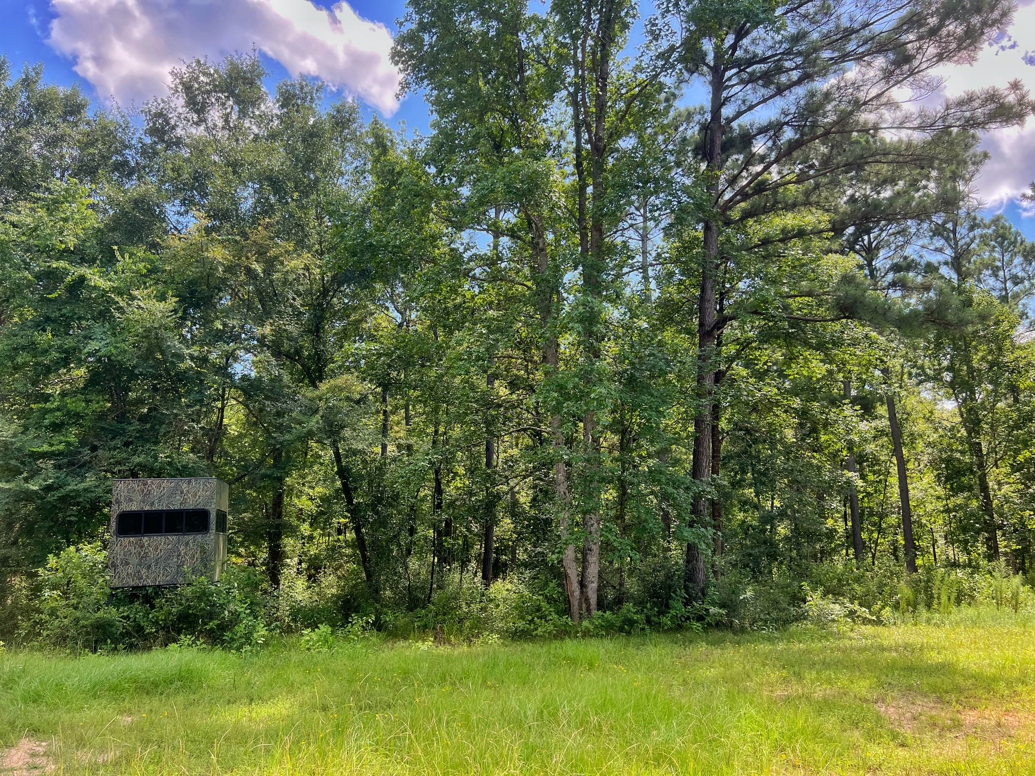 1320 Cr 2112 Property Photo 13