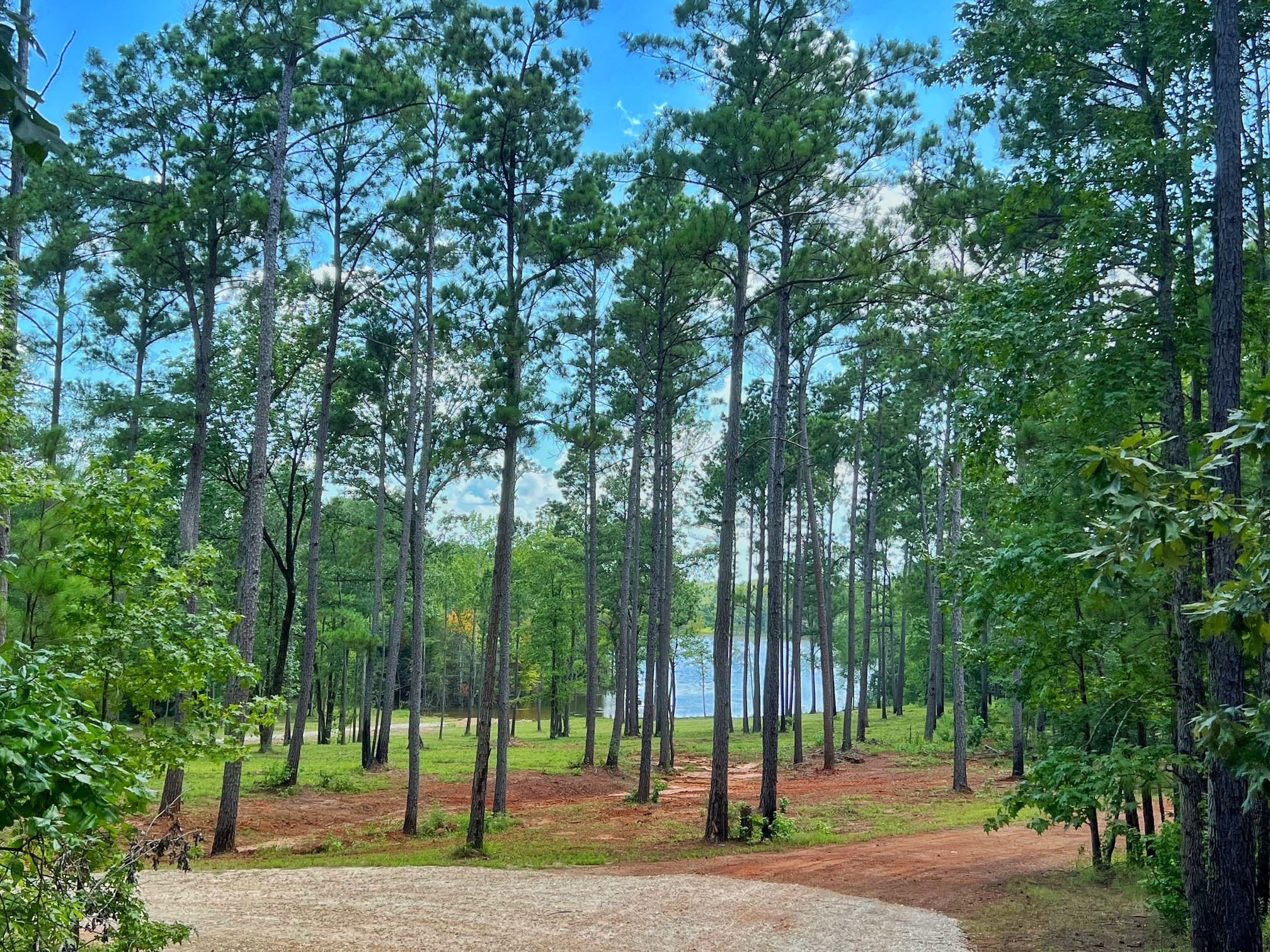 1320 Cr 2112 Property Photo 17