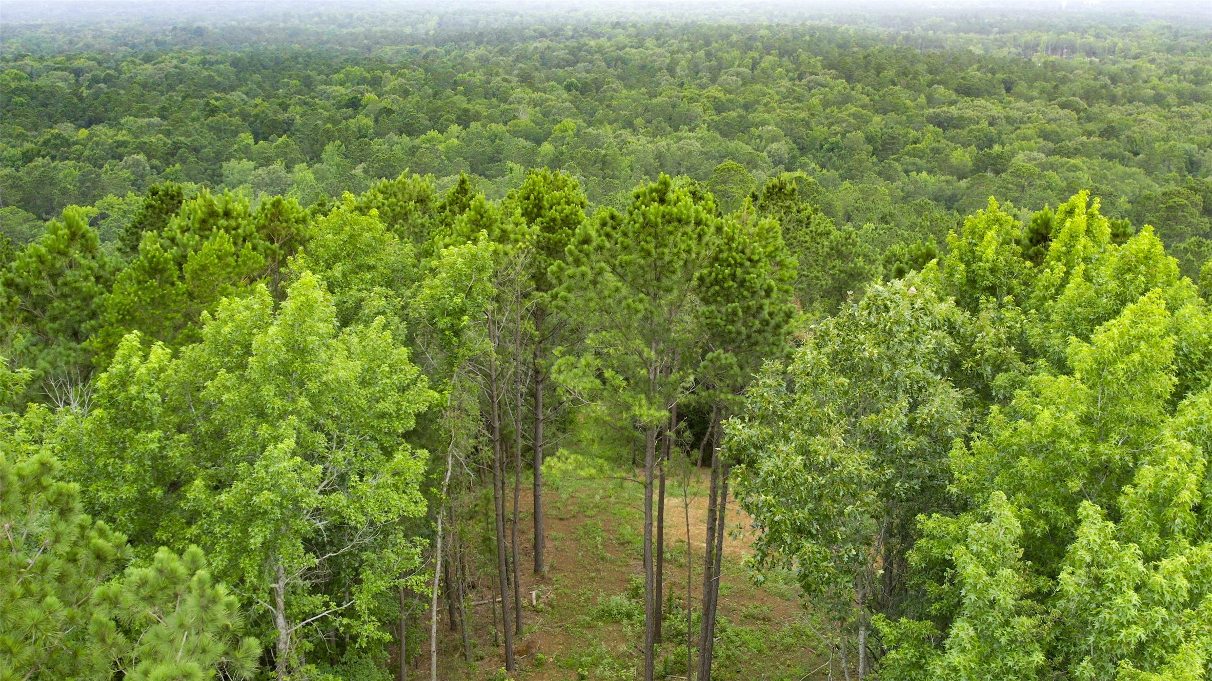 1320 Cr 2112 Property Photo 27