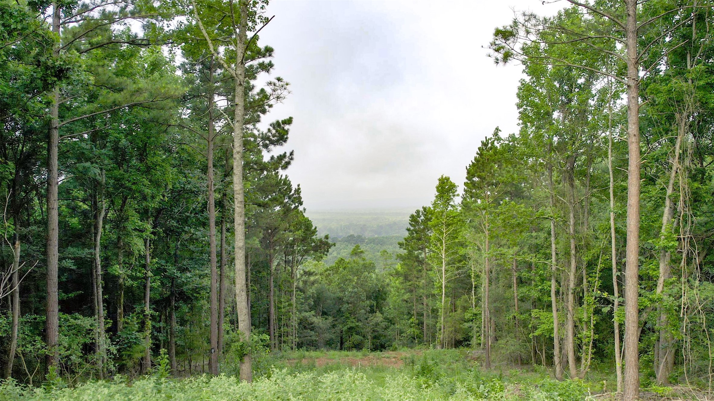 1320 Cr 2112 Property Photo 28