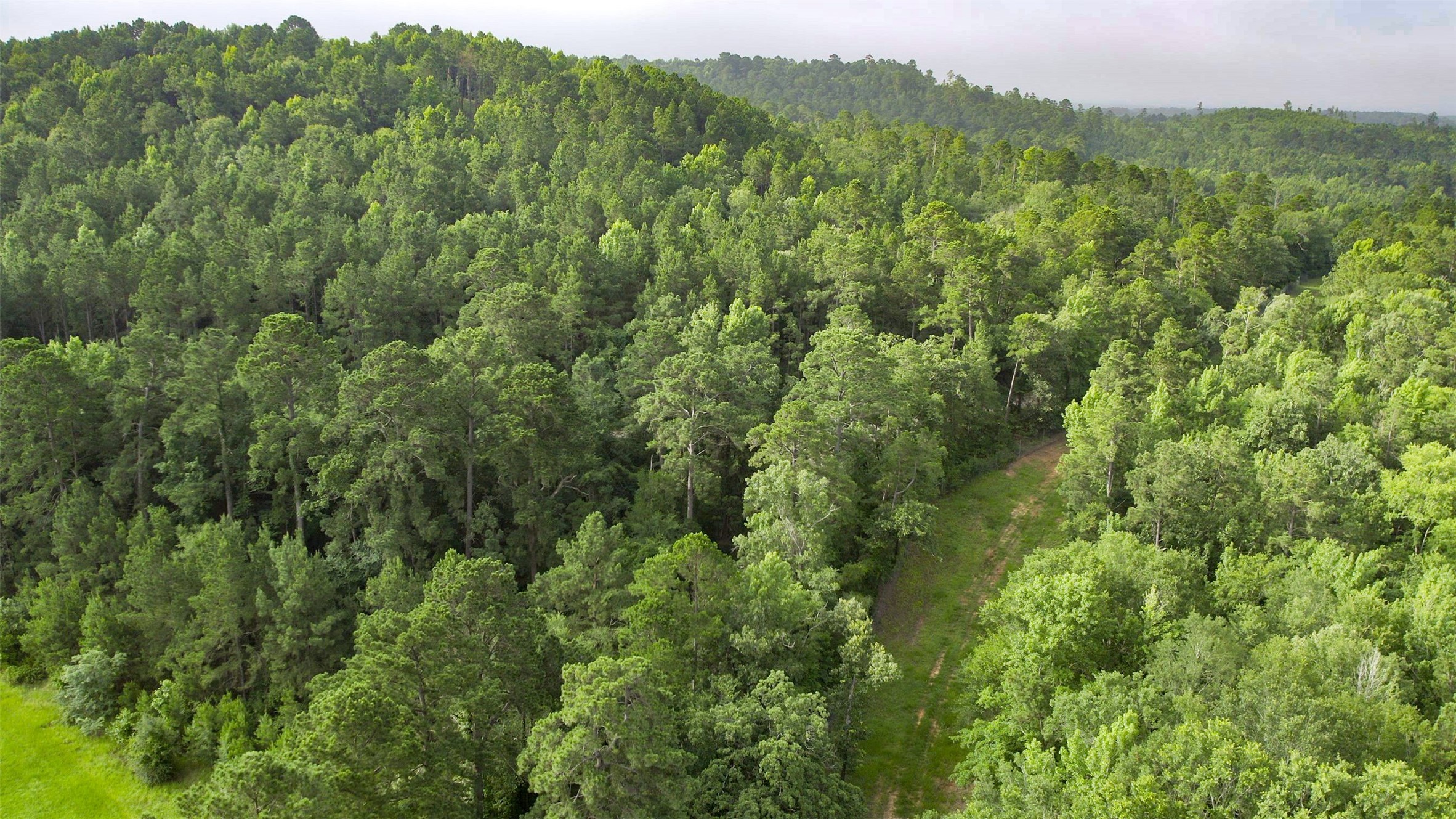 1320 Cr 2112 Property Photo 29