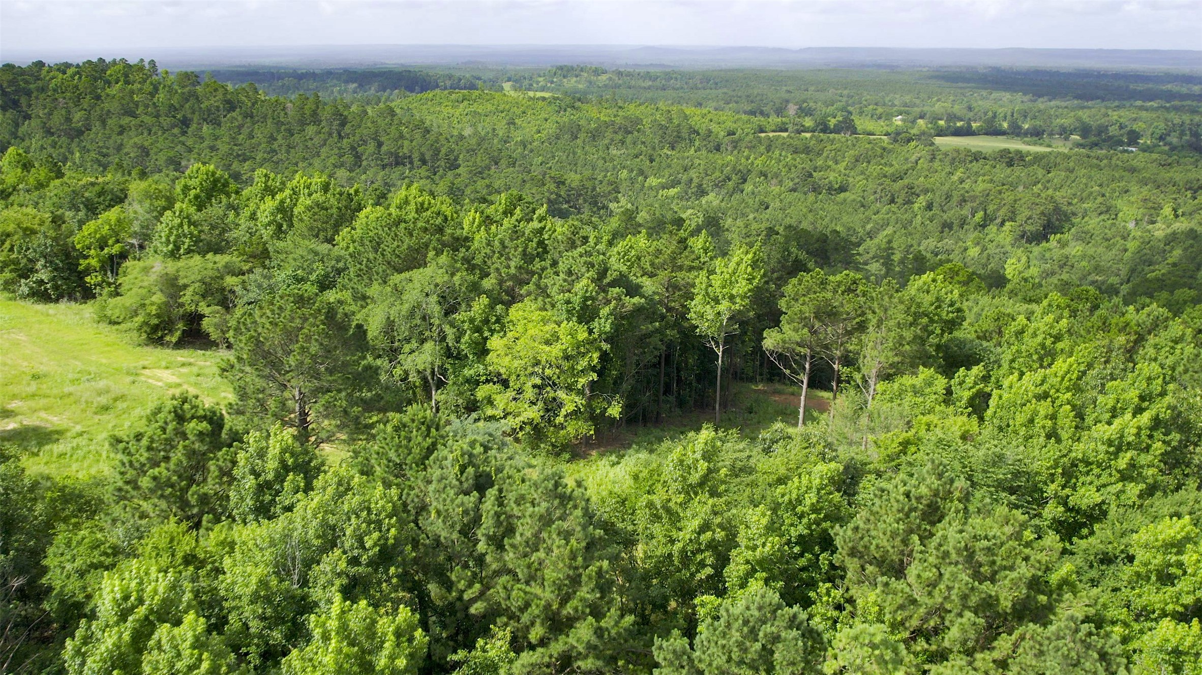 1320 Cr 2112 Property Photo 33