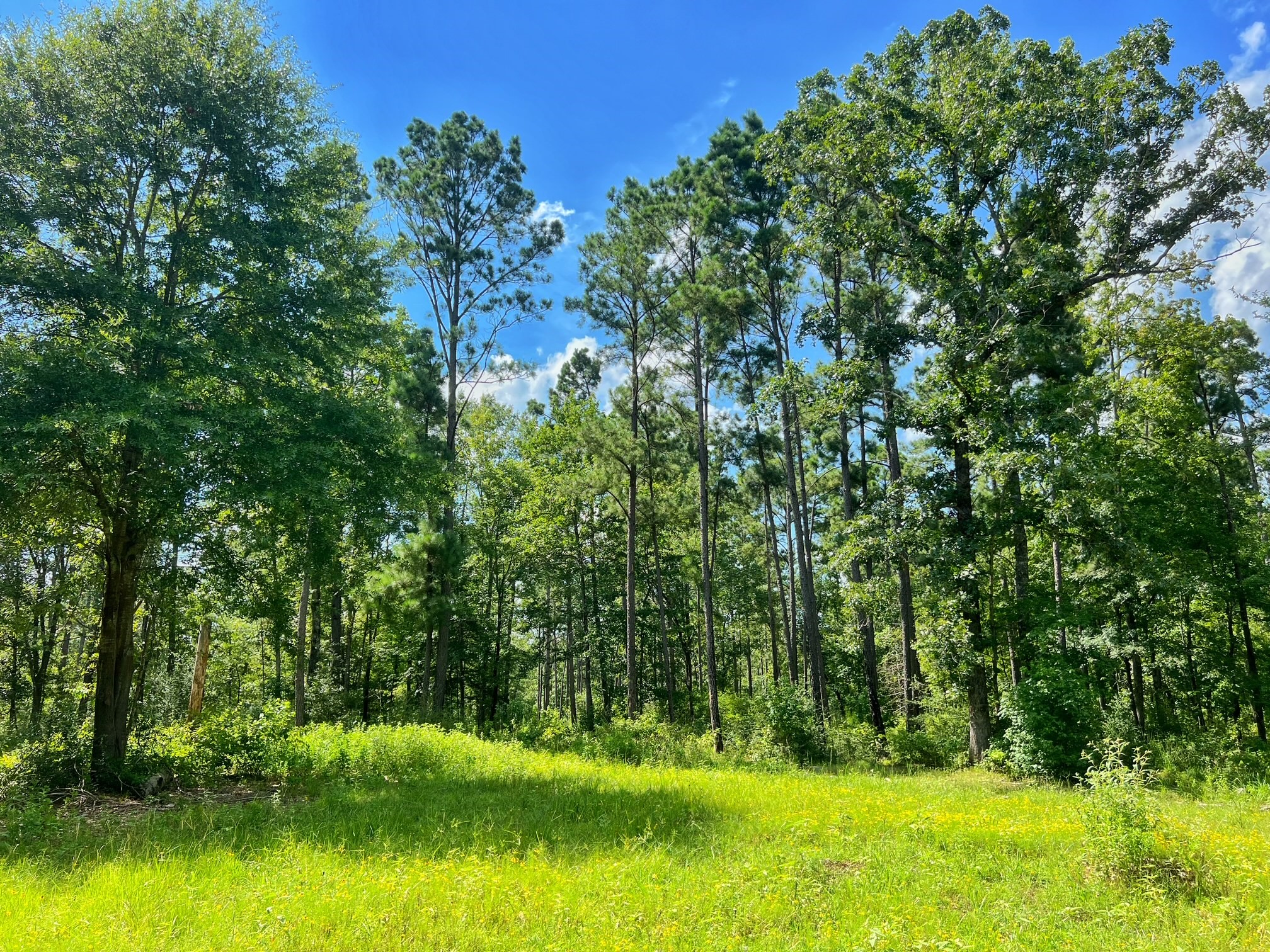 1320 Cr 2112 Property Photo 35