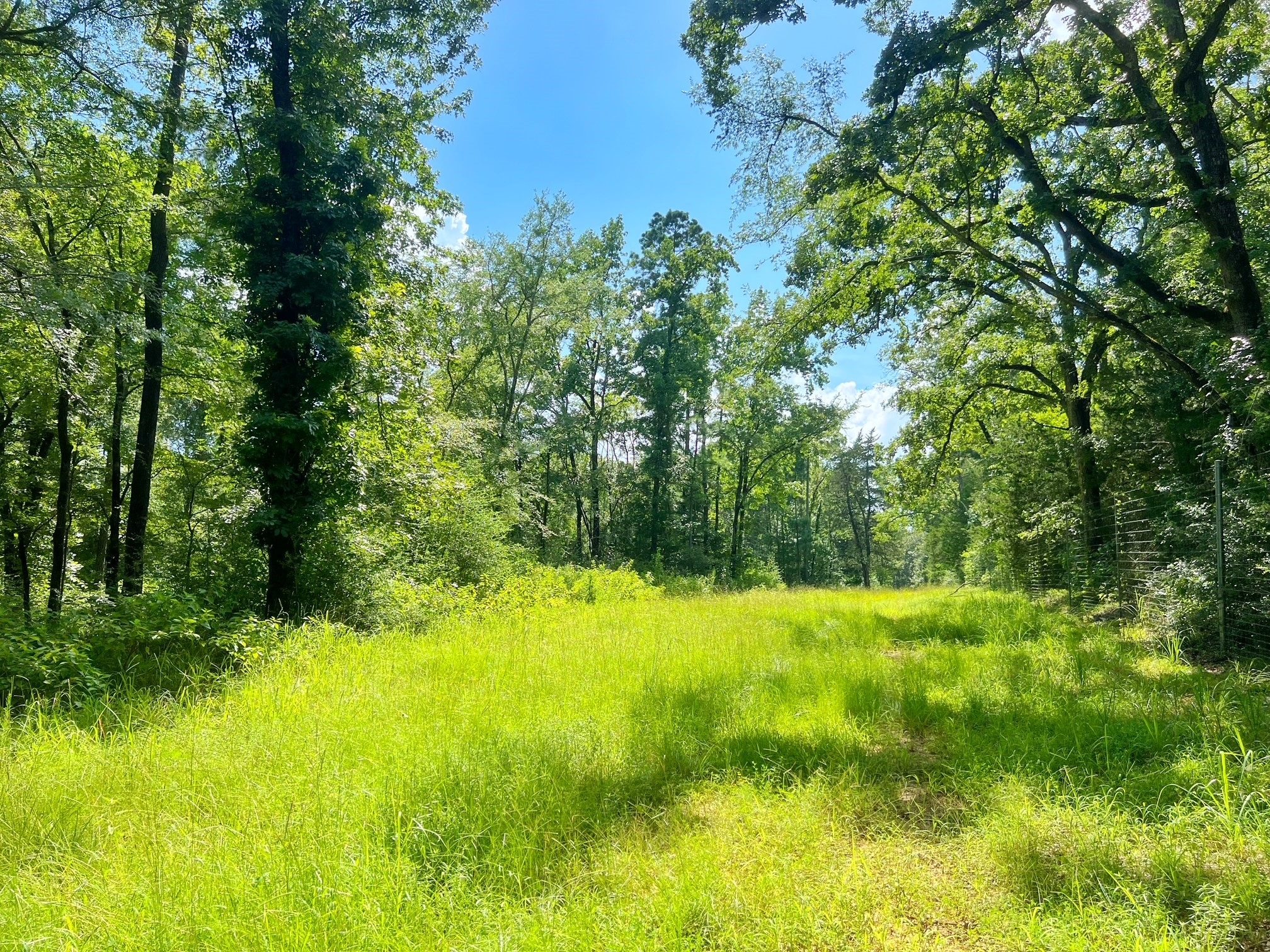 1320 Cr 2112 Property Photo 36