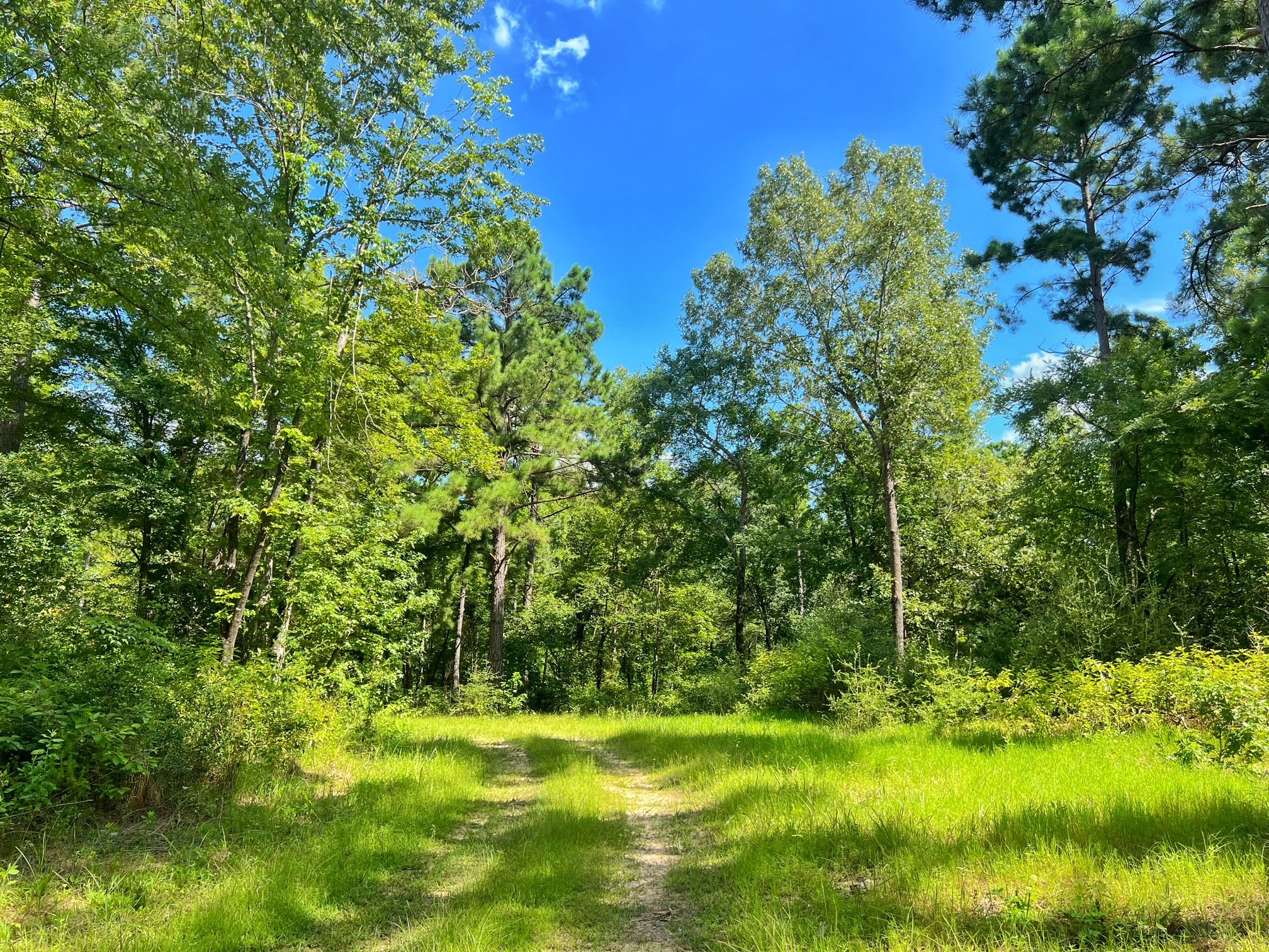 1320 Cr 2112 Property Photo 37