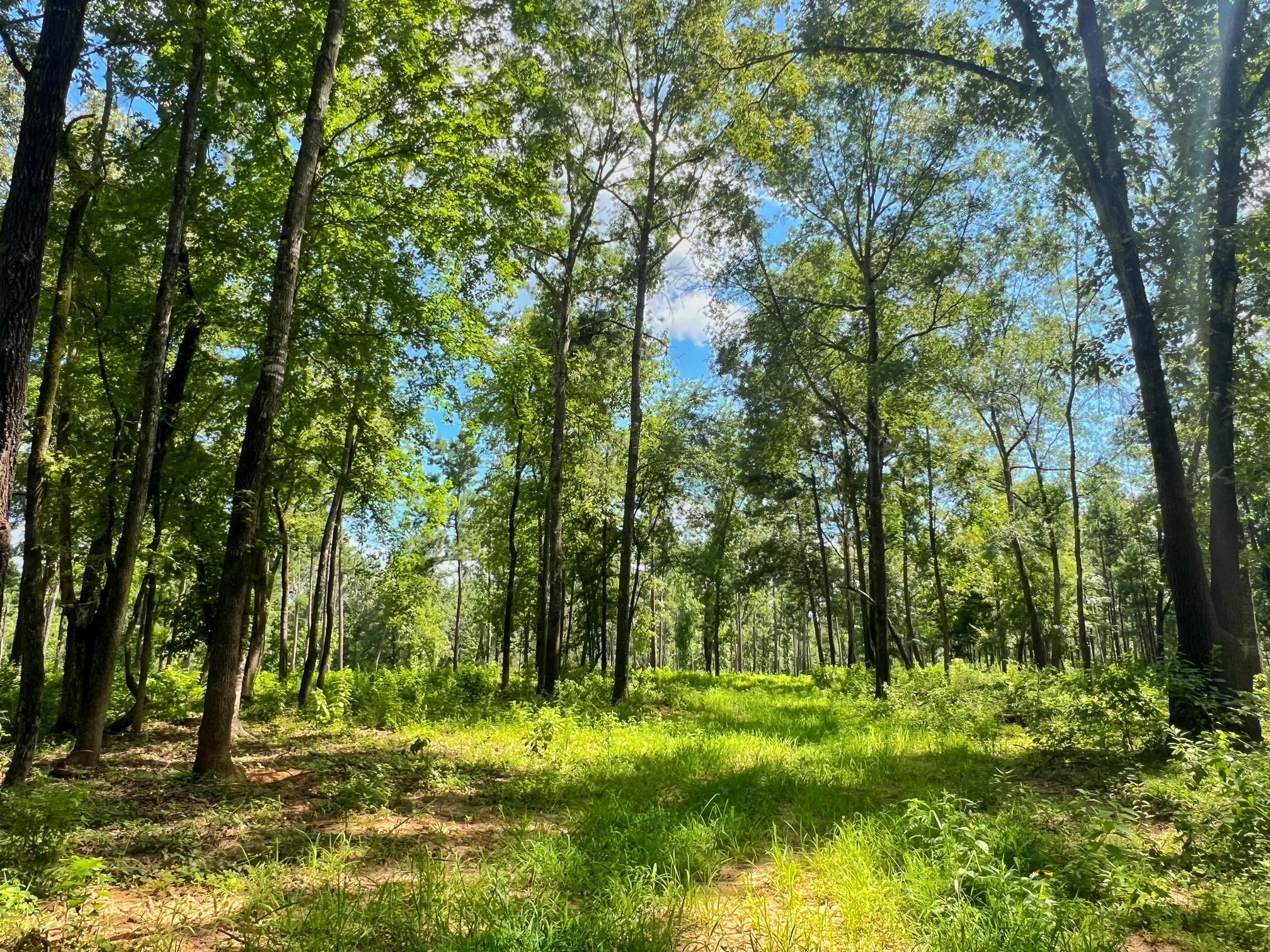 1320 Cr 2112 Property Photo 38