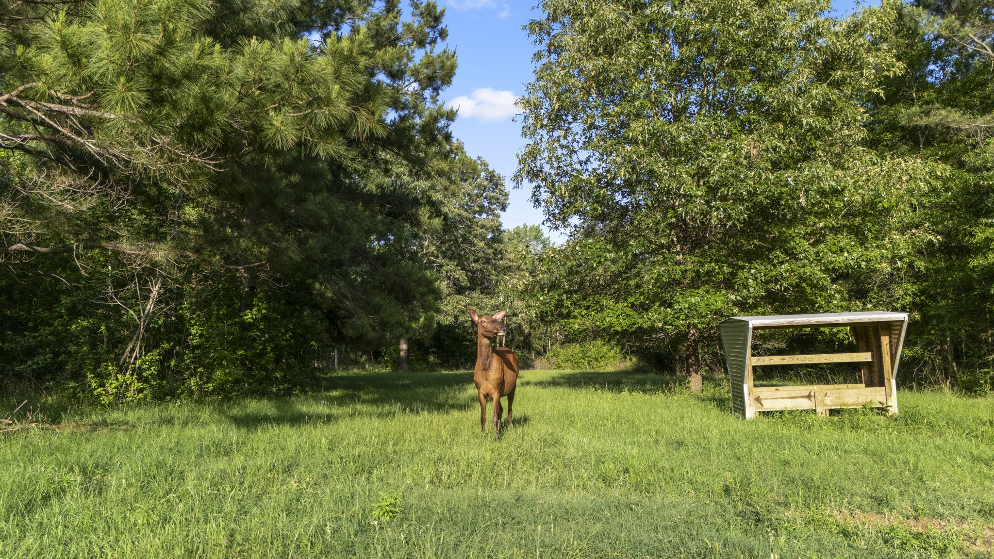1320 Cr 2112 Property Photo 46
