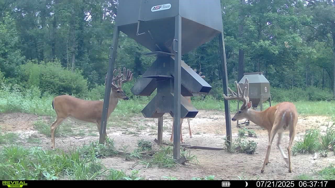 1320 Cr 2112 Property Photo 47