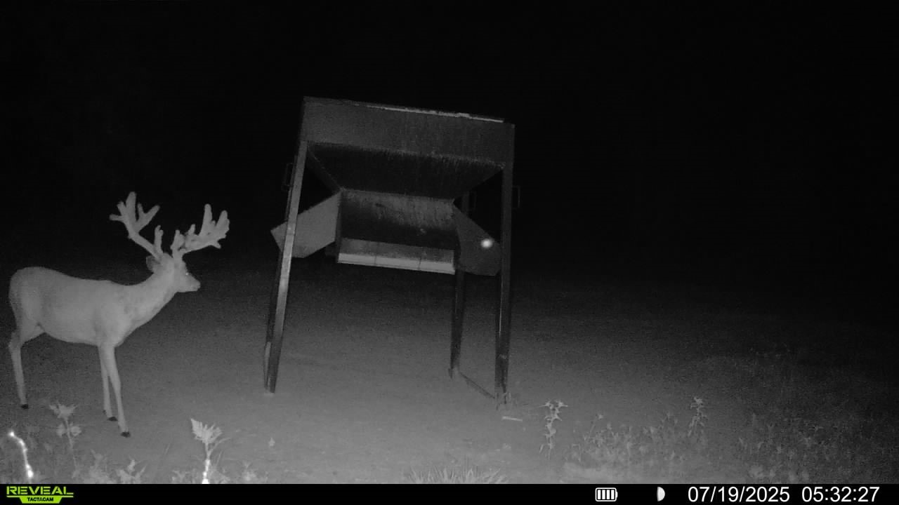 1320 Cr 2112 Property Photo 48