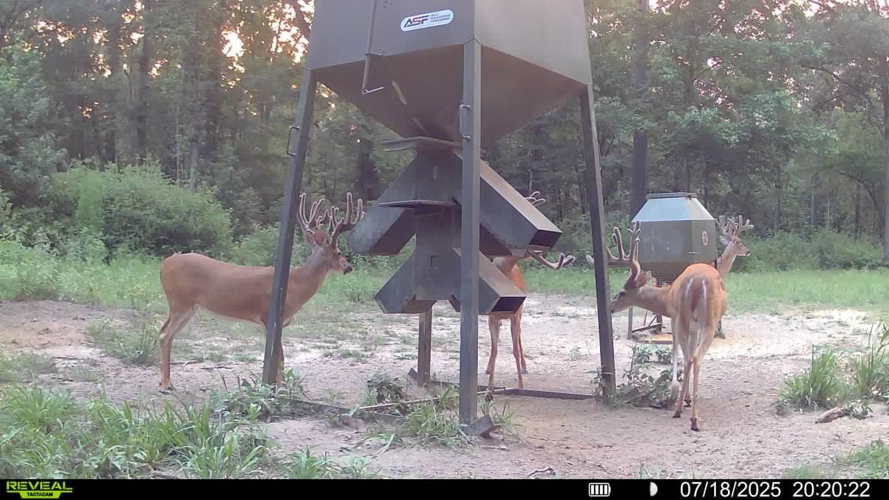 1320 Cr 2112 Property Photo 49